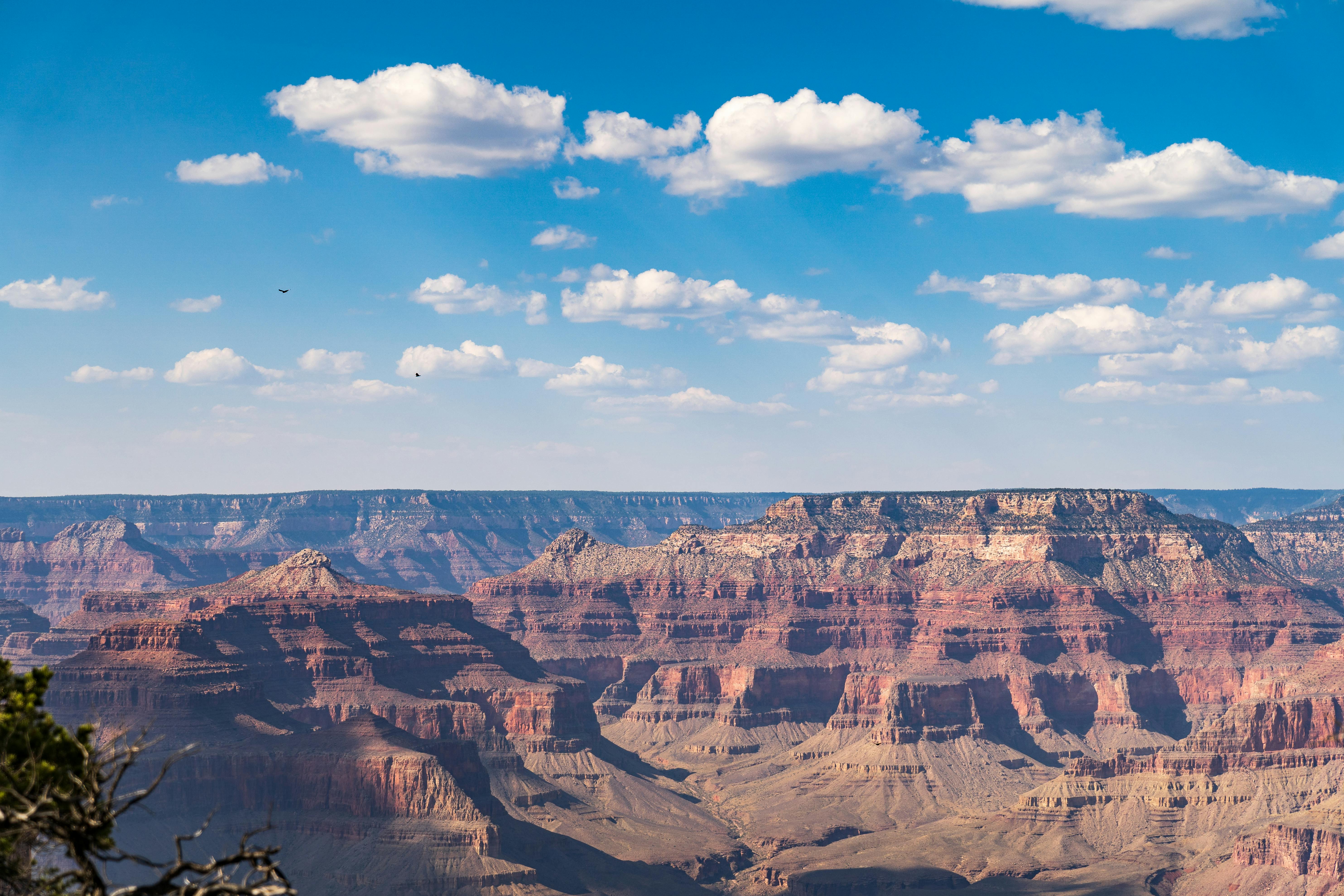 Landscape of the Grand Canyon National Park in Arizona, United States · Free
