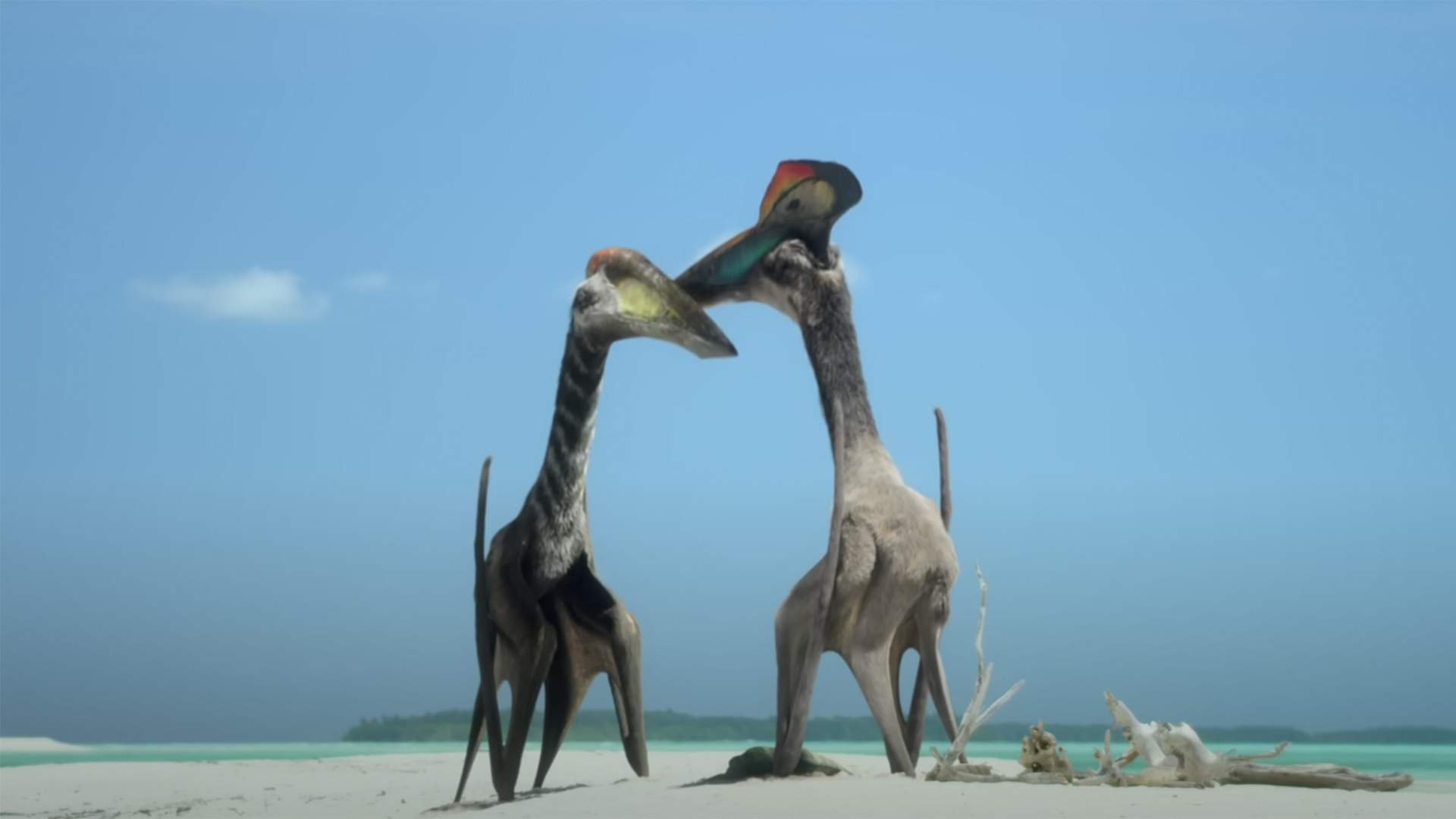 Joschua Knüppe Also Loved The Hatzegopteryx Hunt Display Segments, Although I Would Have Loved To See A Little More Of The Tethyshadros. Also I Notice How They Cheekily Avoided To