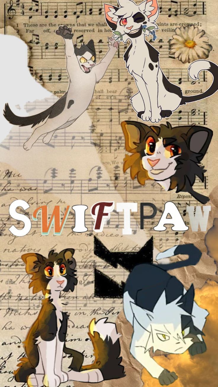 Коты воители. Warrior cats, Warrior cat, Warrior