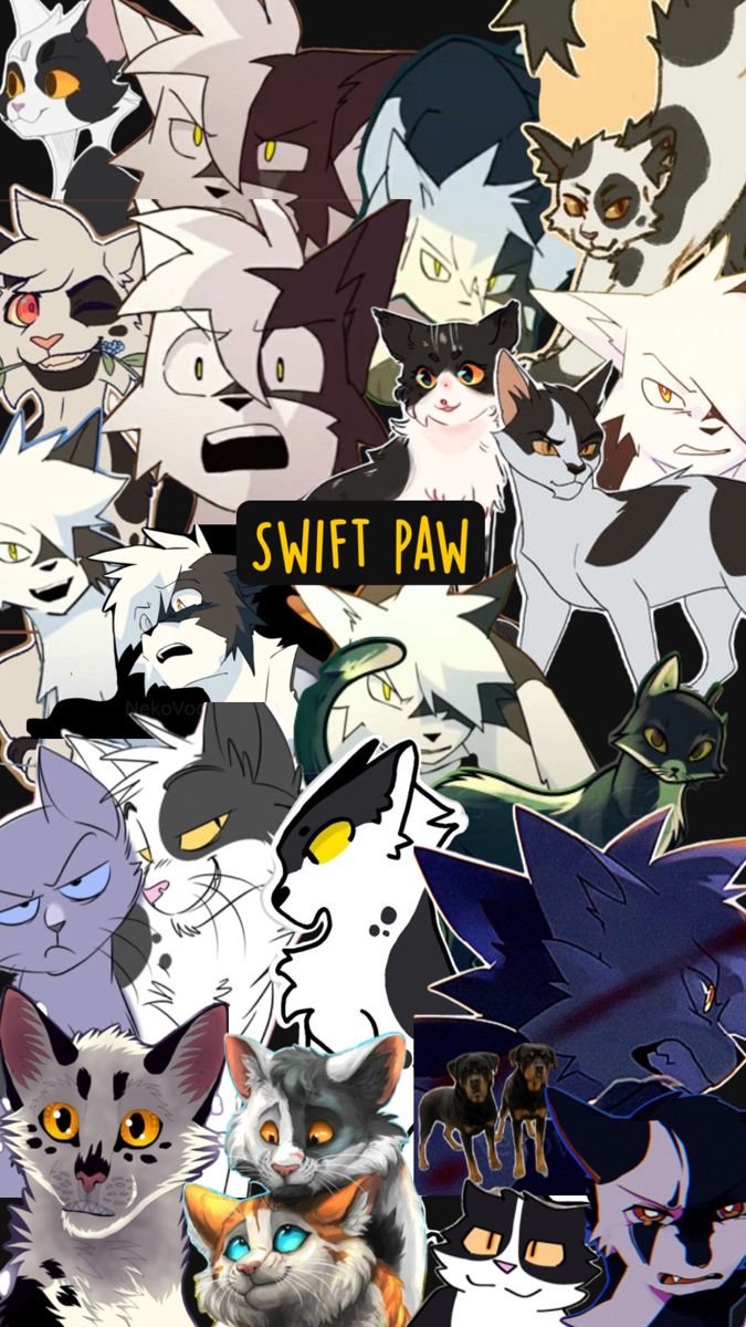 Swift paw. Warrior cats funny, Warrior cats fan art, Warrior cats art