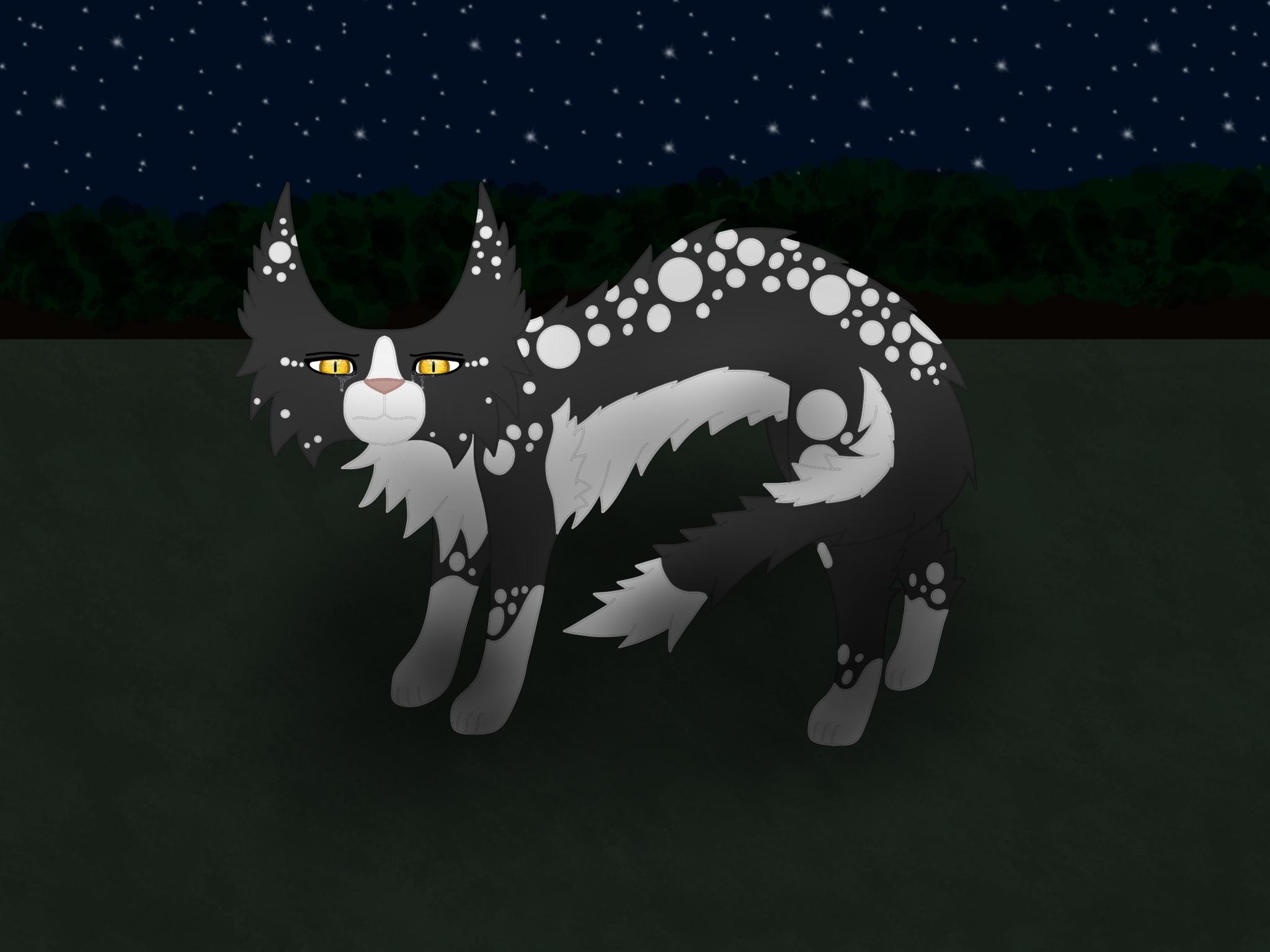 So.I attempted to draw Swiftpaw. I know I gave him a different pattern, but honestly I kinda like it