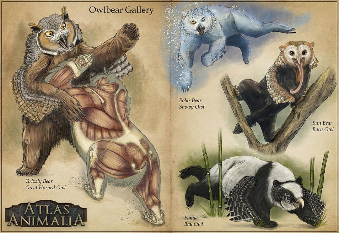 Art Owlbear creature art and variants