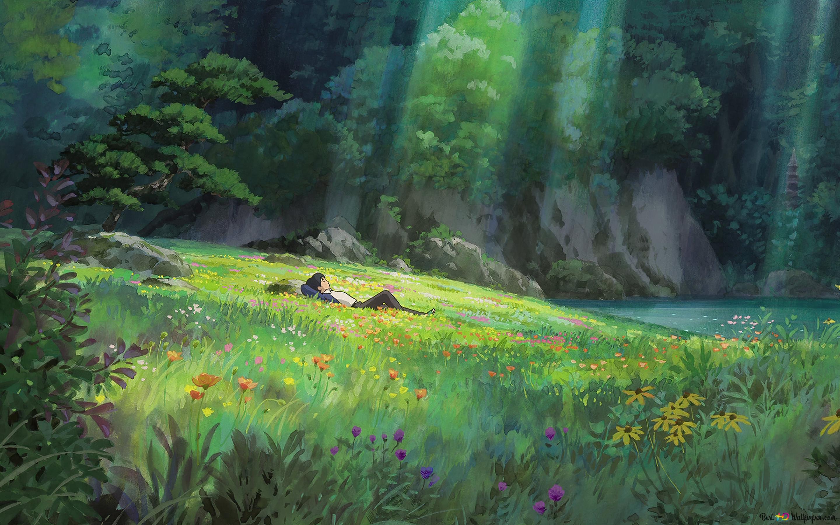 anime, natural light, landscape, forest, Studio Ghibli 4K wallpaper download