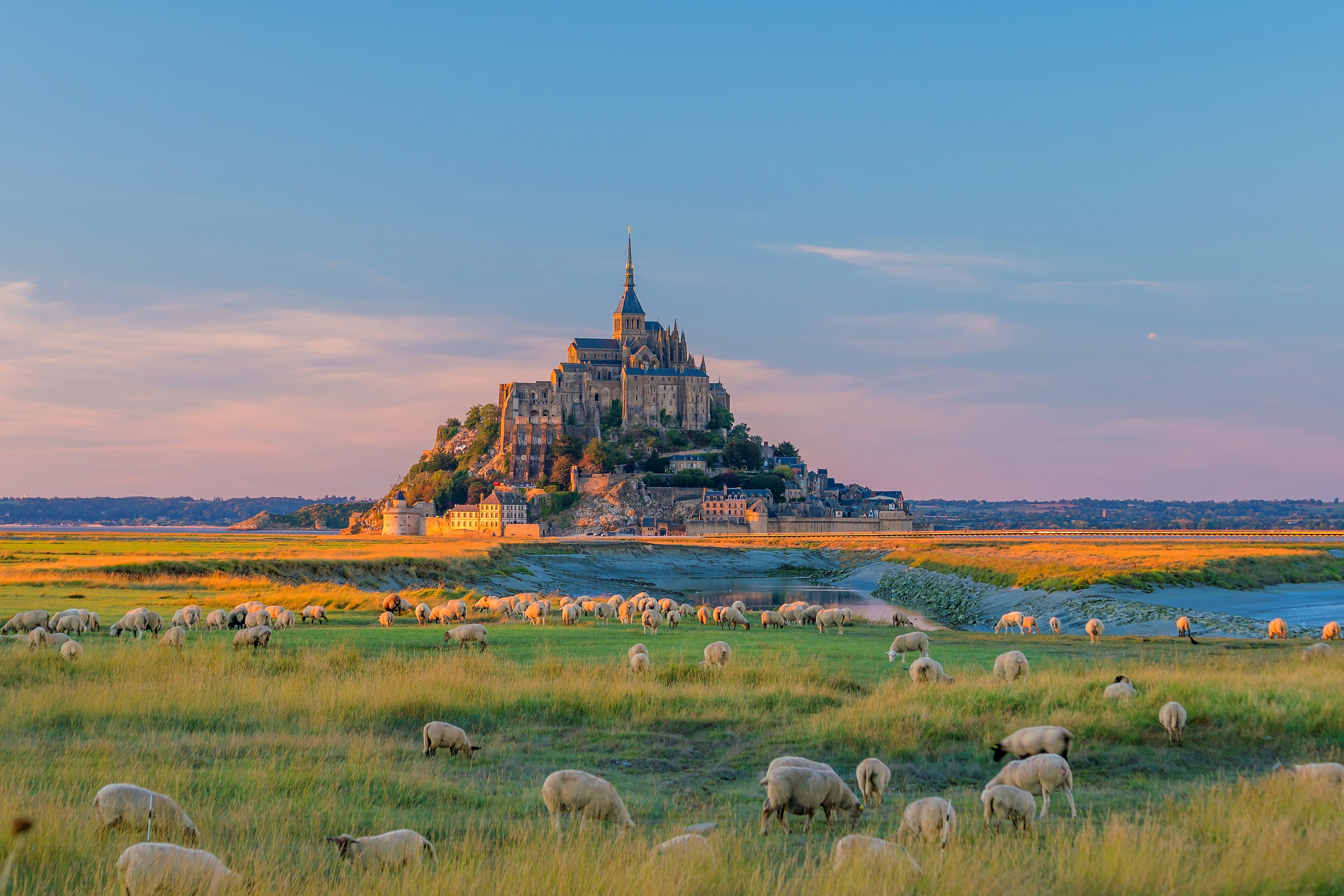 Normandy Tours & Custom France Tours