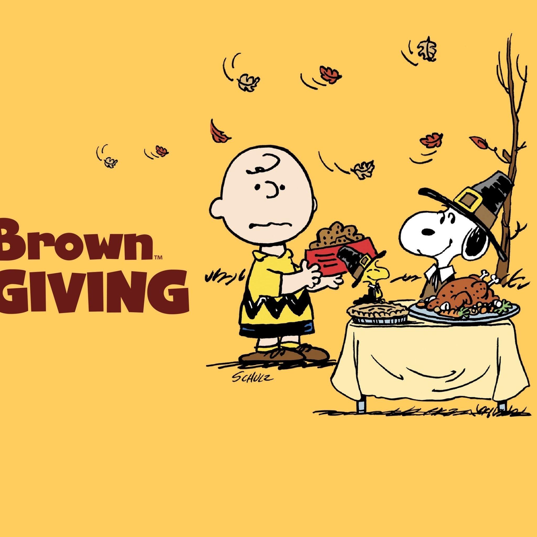 Charlie Brown Wallpaper 4K, Thanksgiving, Snoopy, Cartoon
