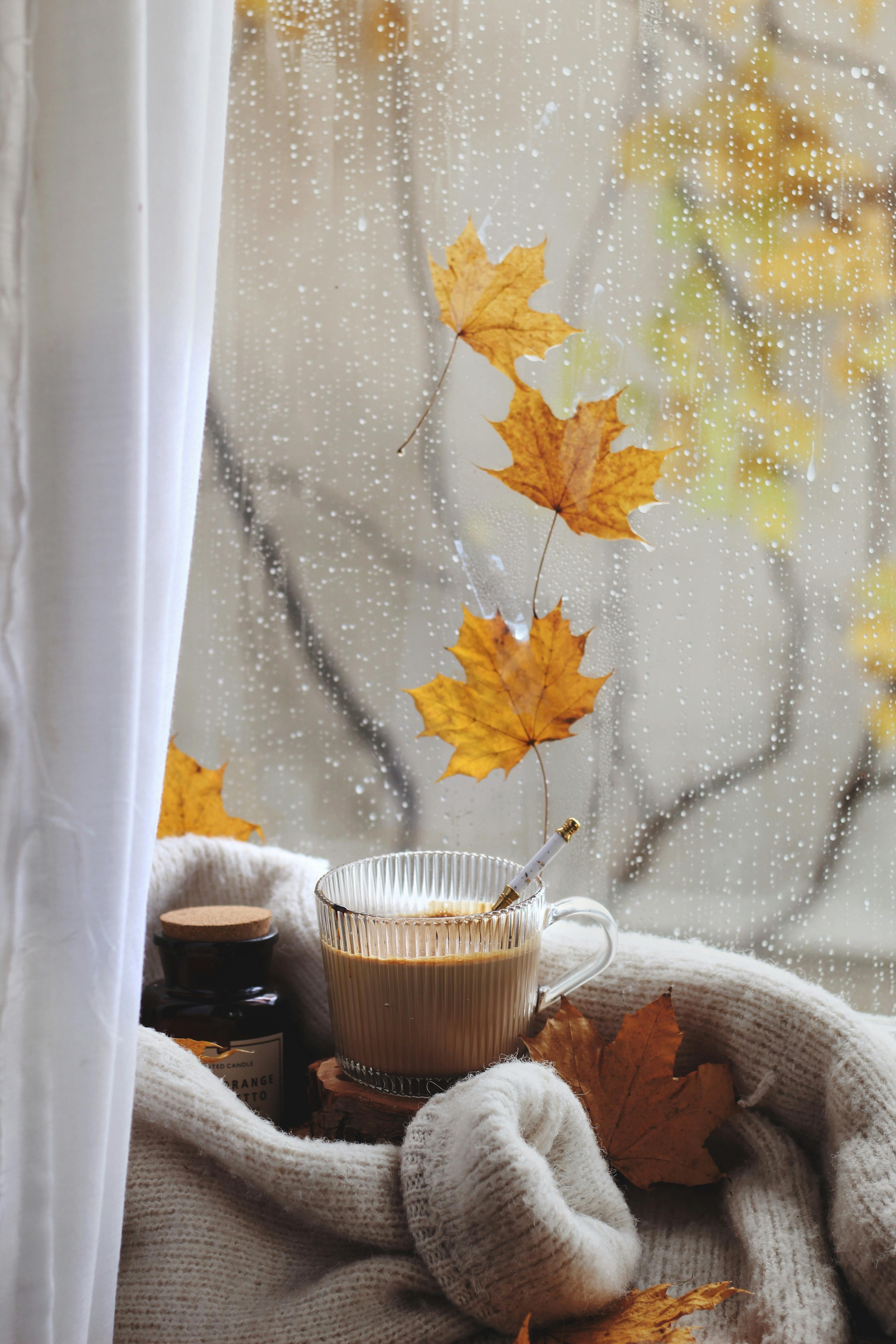 Rainy Coffee Photo, Download The BEST Free Rainy Coffee & HD Image