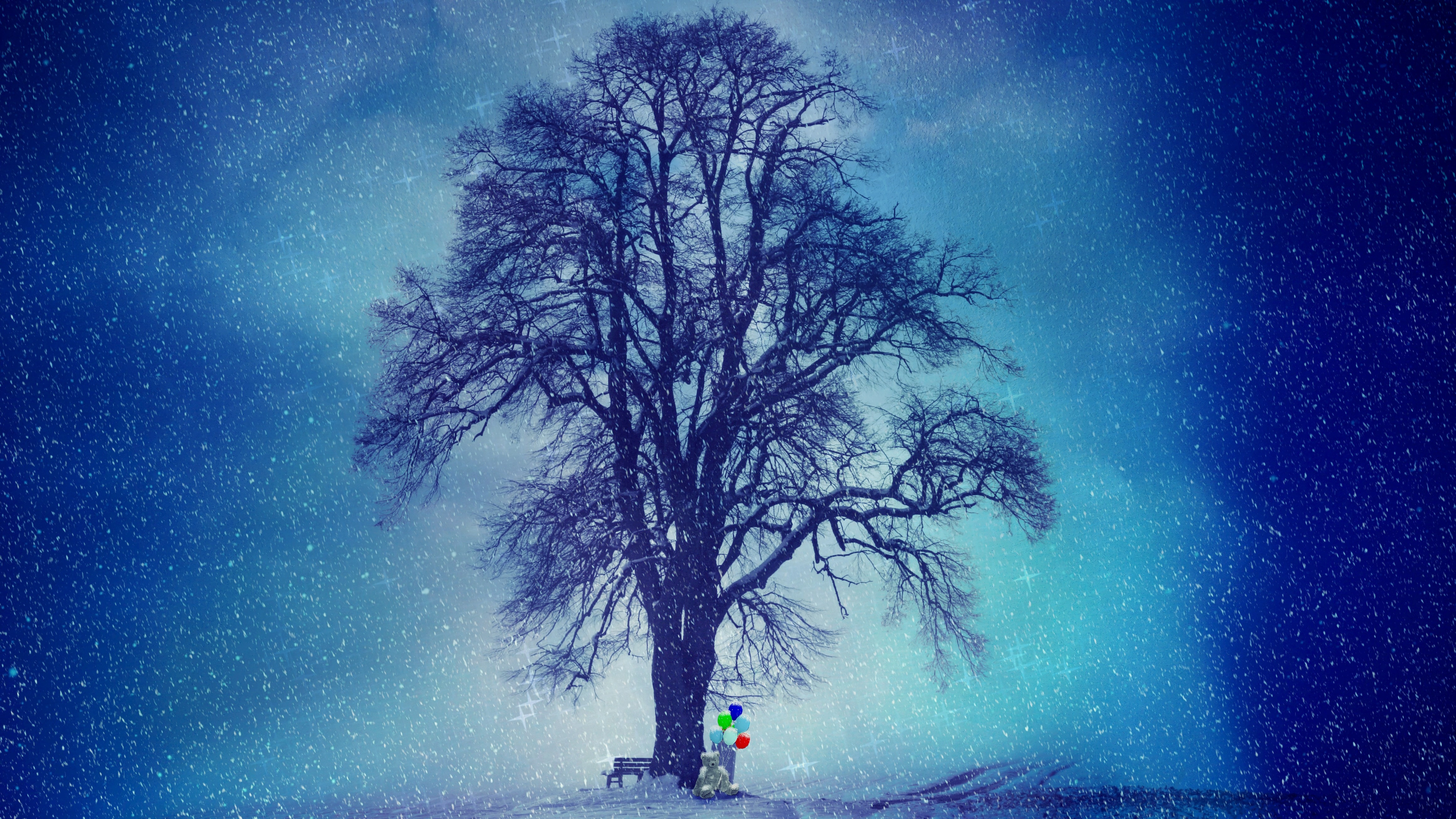 Wallpaper Tree, Nature, Natural Landscape, Blue, Winter, Background Free Image