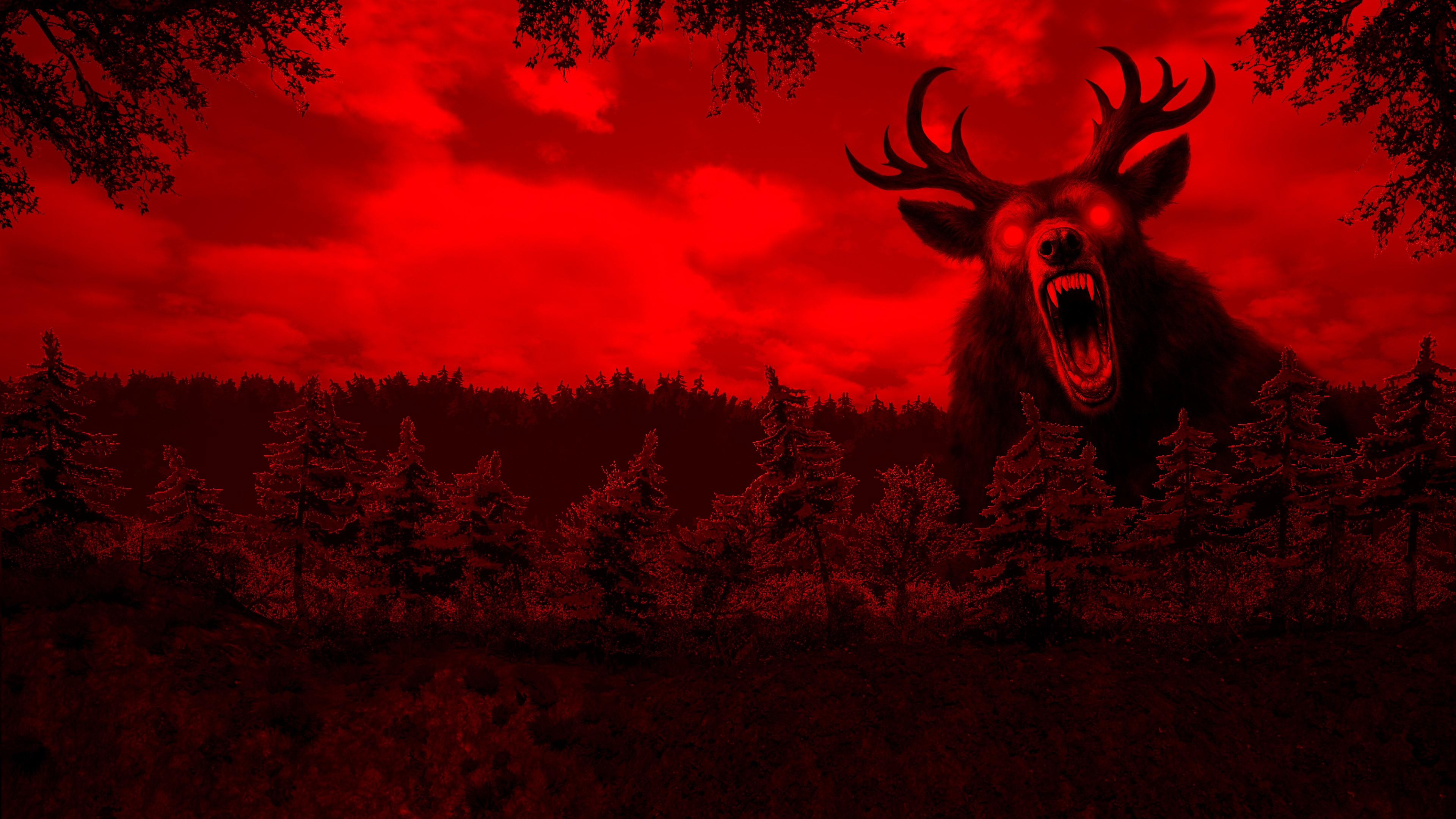 Nights in the Forest