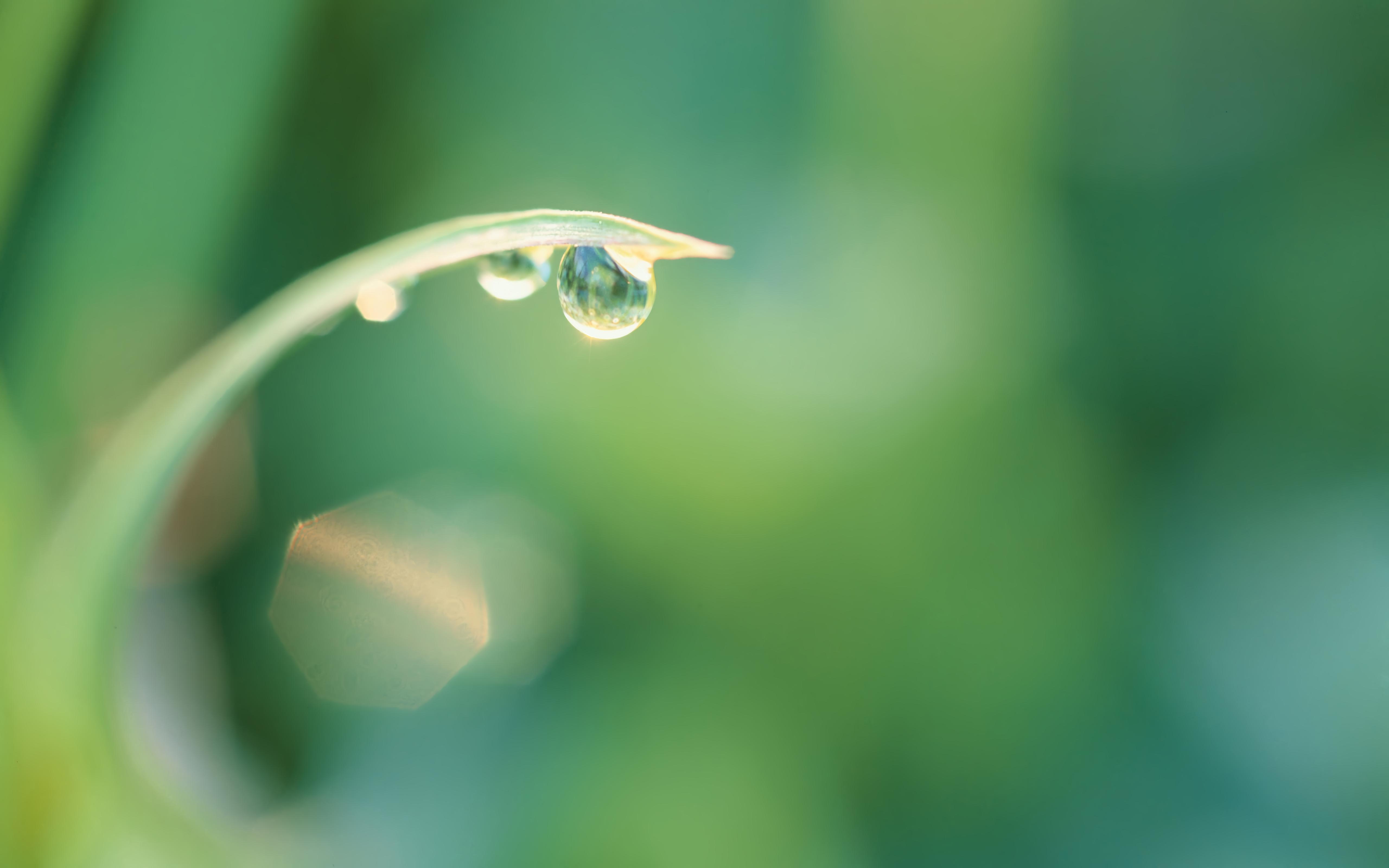 OS X dew drop wallpaper 5K