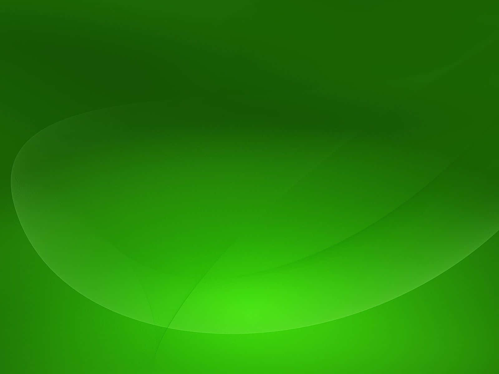 Download Solid Green Clean and Minimalist Background