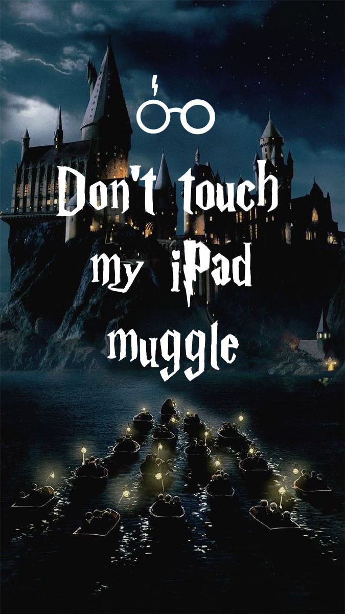 Don't touch mu iPad muggle