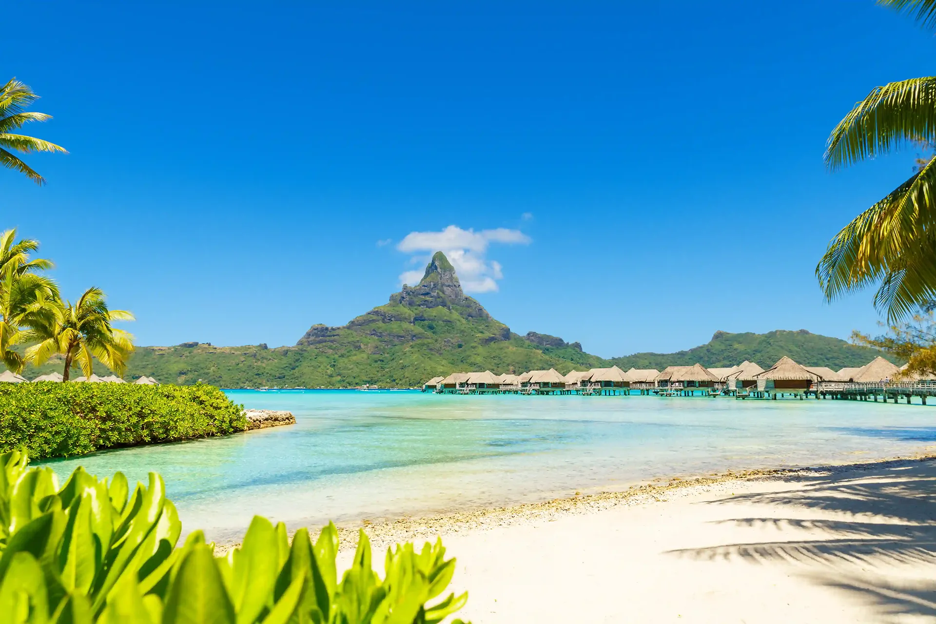 French Polynesia Island Guide: Find Your Perfect Paradise from Bora Bora to Nuku Hiva · Blog · Evyssa Vacations