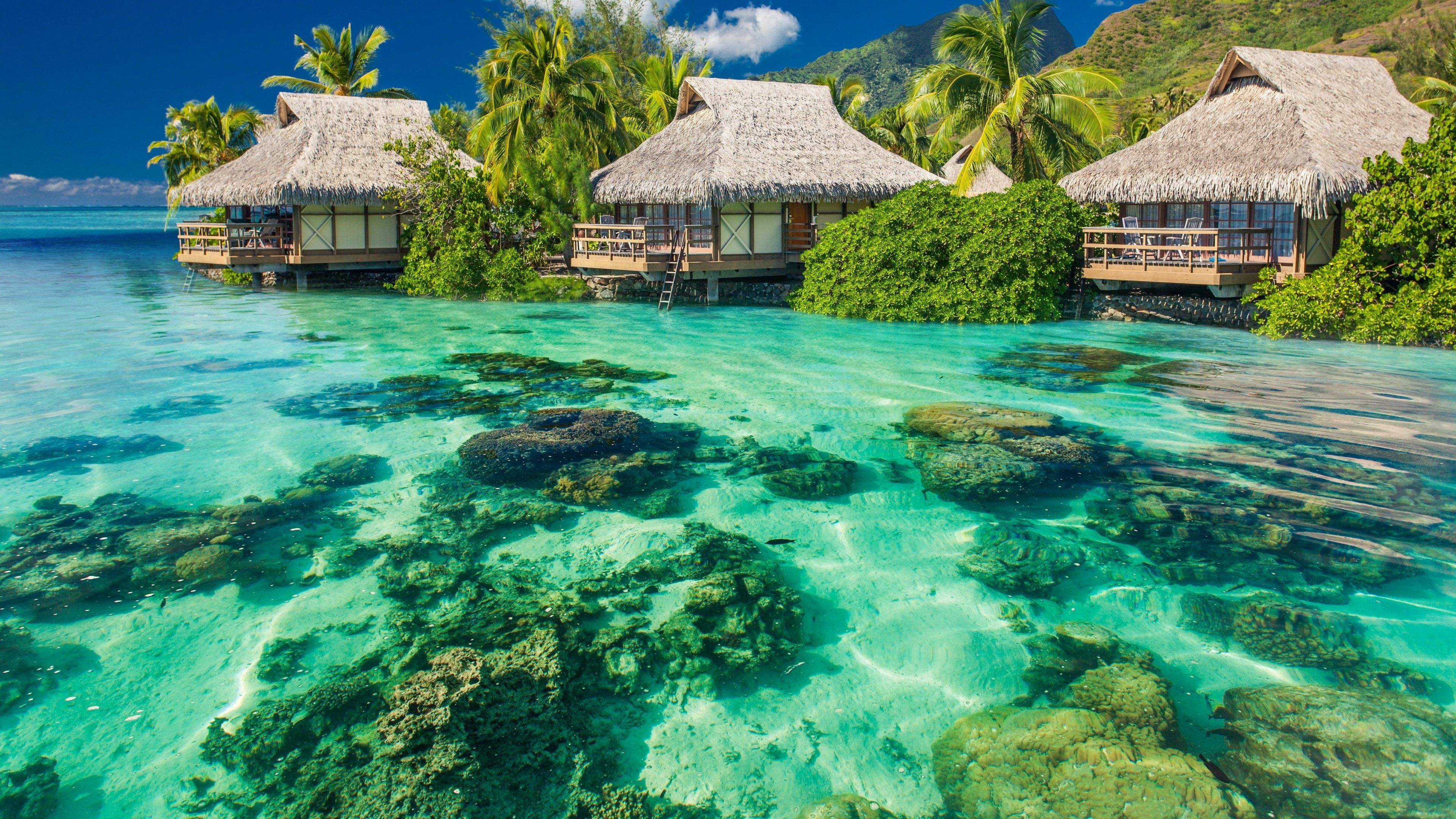 French Polynesia Wallpaper