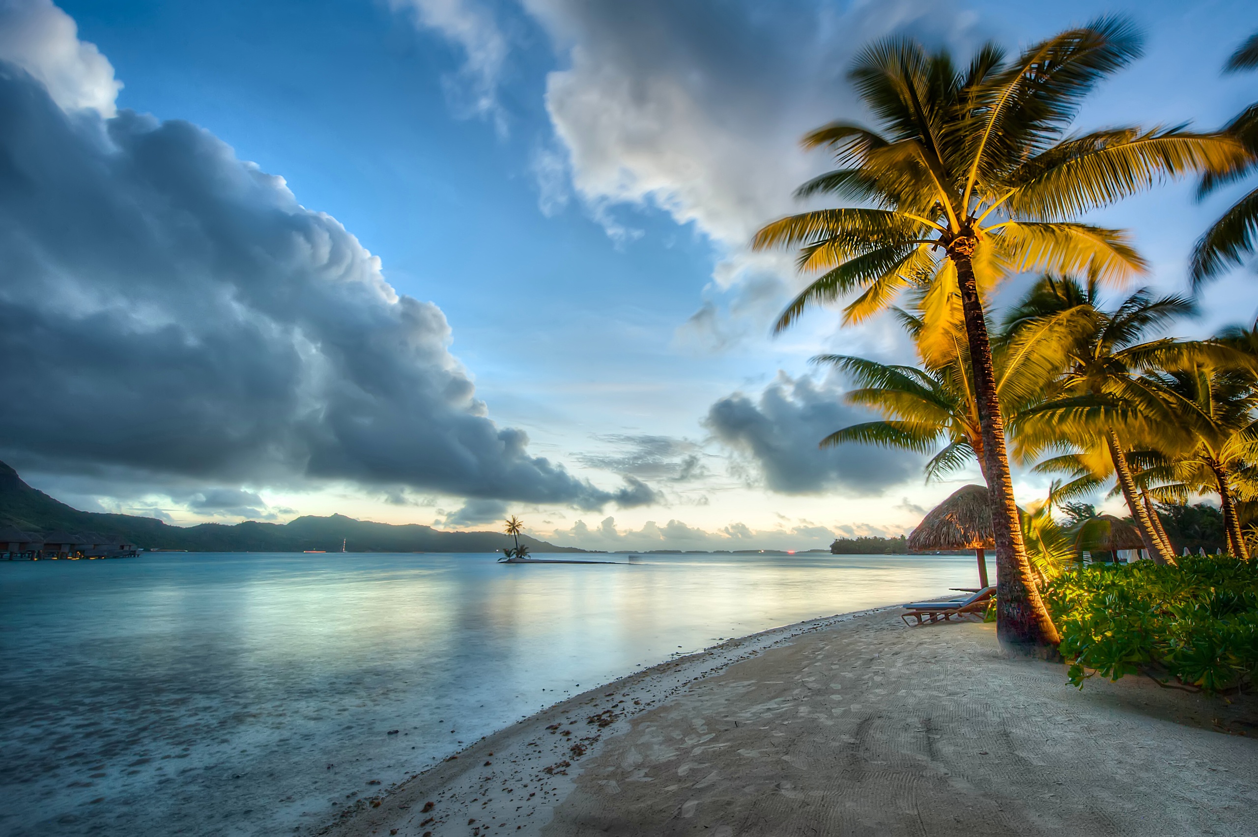 Wallpaper beach, tropics, palm trees, the ocean, Bora Bora, Pacific Ocean, Bora Bora, French Polynesia for mobile and desktop, section пейзажи, resolution 2560x1704