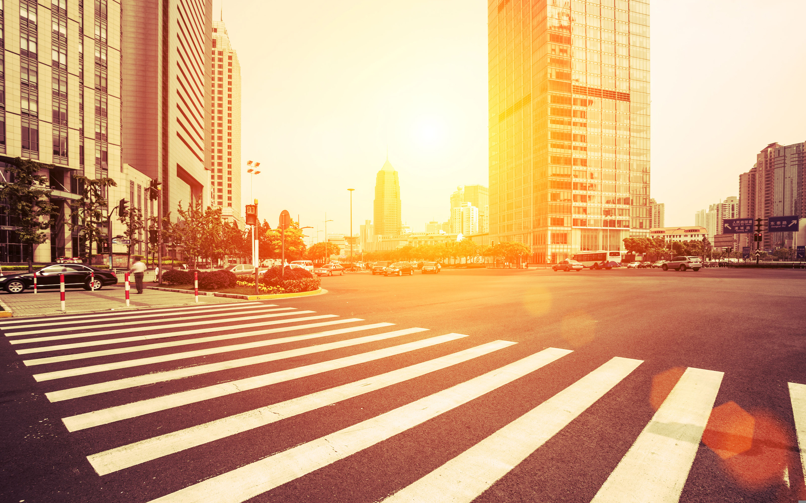 Wallpaper road, machine, auto, the sun, light, trees, life, city for mobile and desktop, section город, resolution 2560x1600