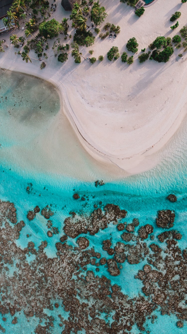 The Ultimate Travel guide to French Polynesia