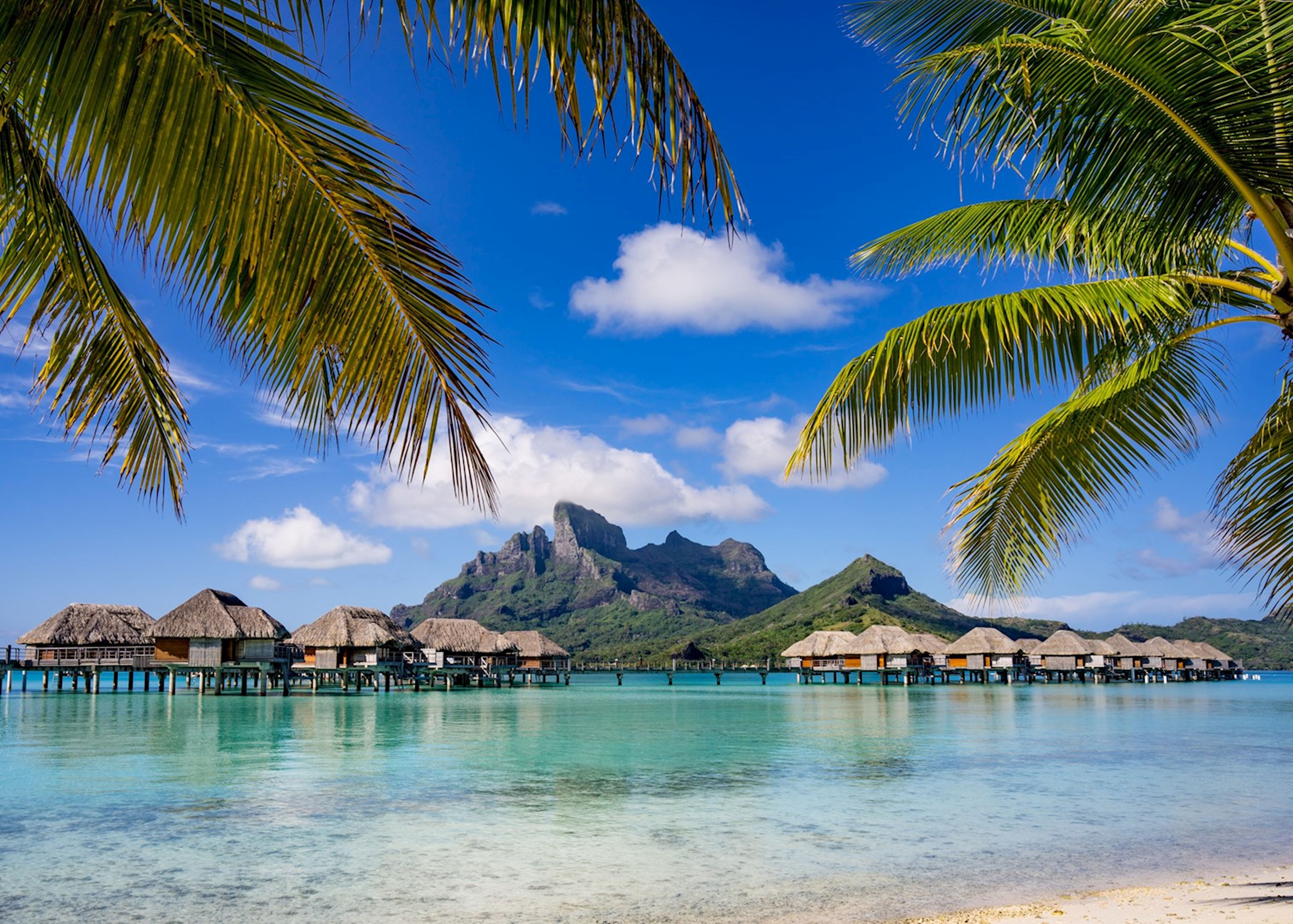 Classic French Polynesia