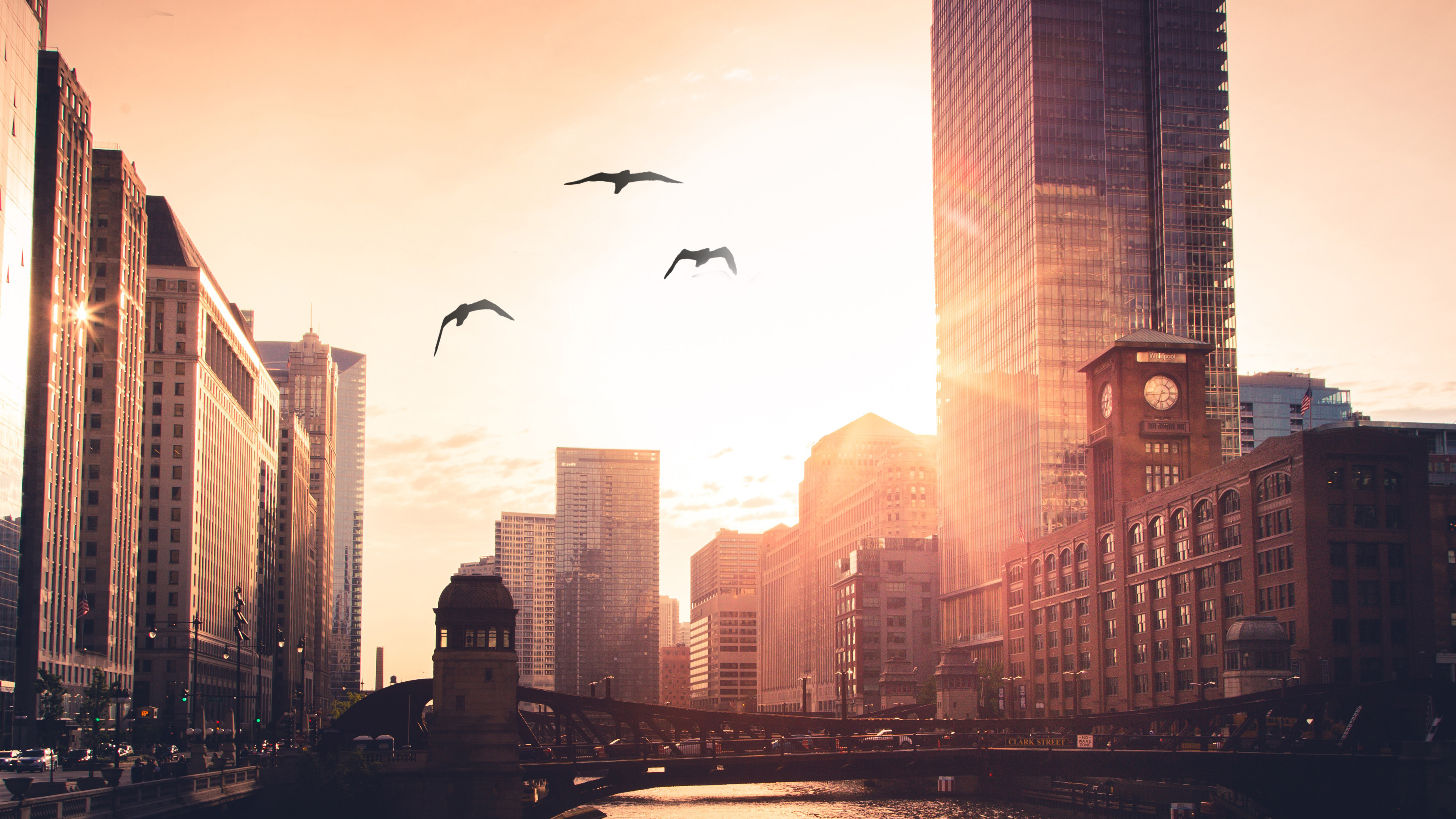Morning City Rise Birds Flying Wallpaper, HD Photography Wallpaper, 4k Wallpaper, Image, Background, Photos and Picture