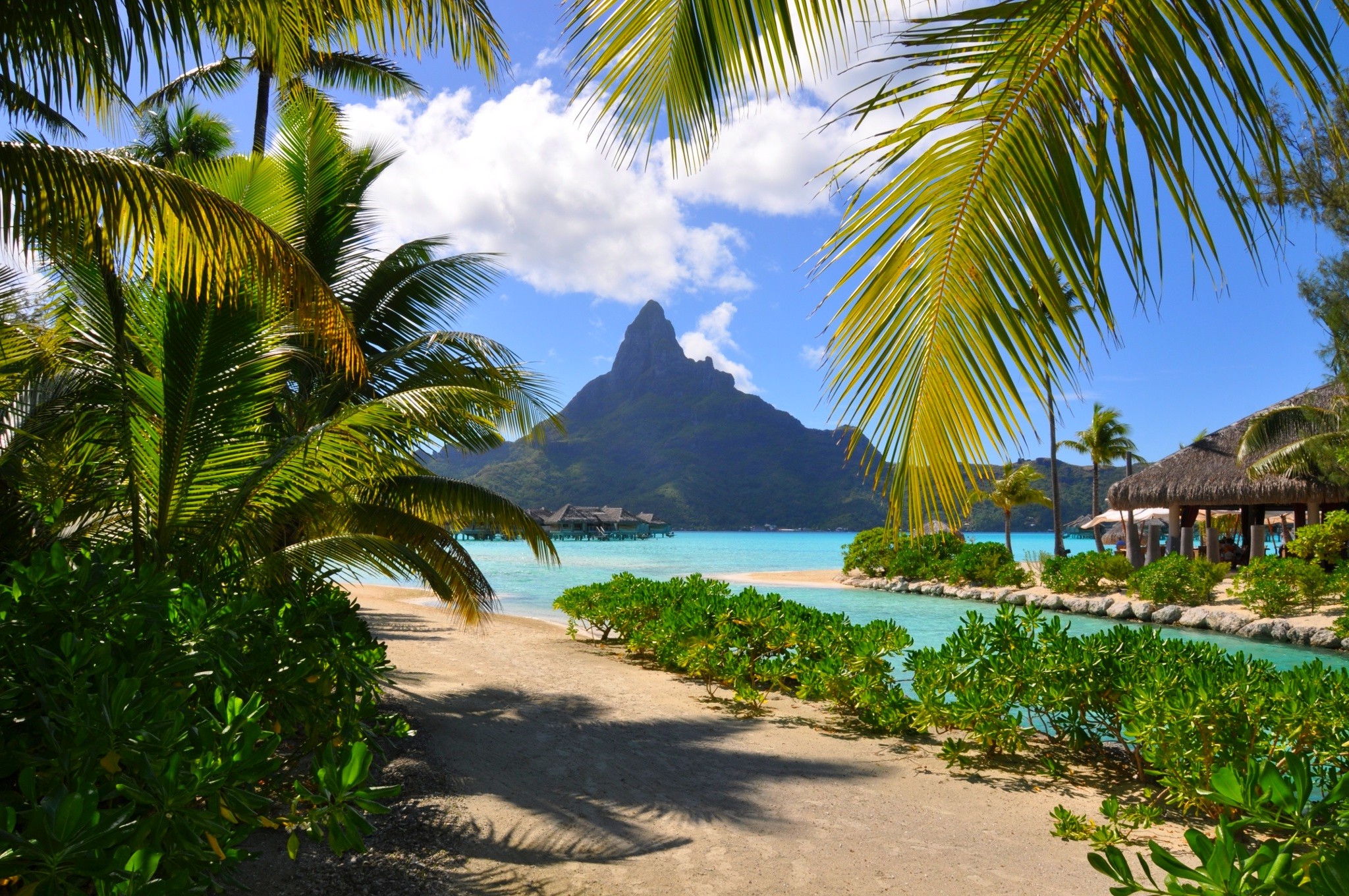 Bora Bora, Resort, Beach, French Polynesia, Mountain, Palm Trees, Sea, Summer, Tropical, Nature, Landscape, Clouds, Shrubs Wallpaper HD / Desktop and Mobile Background