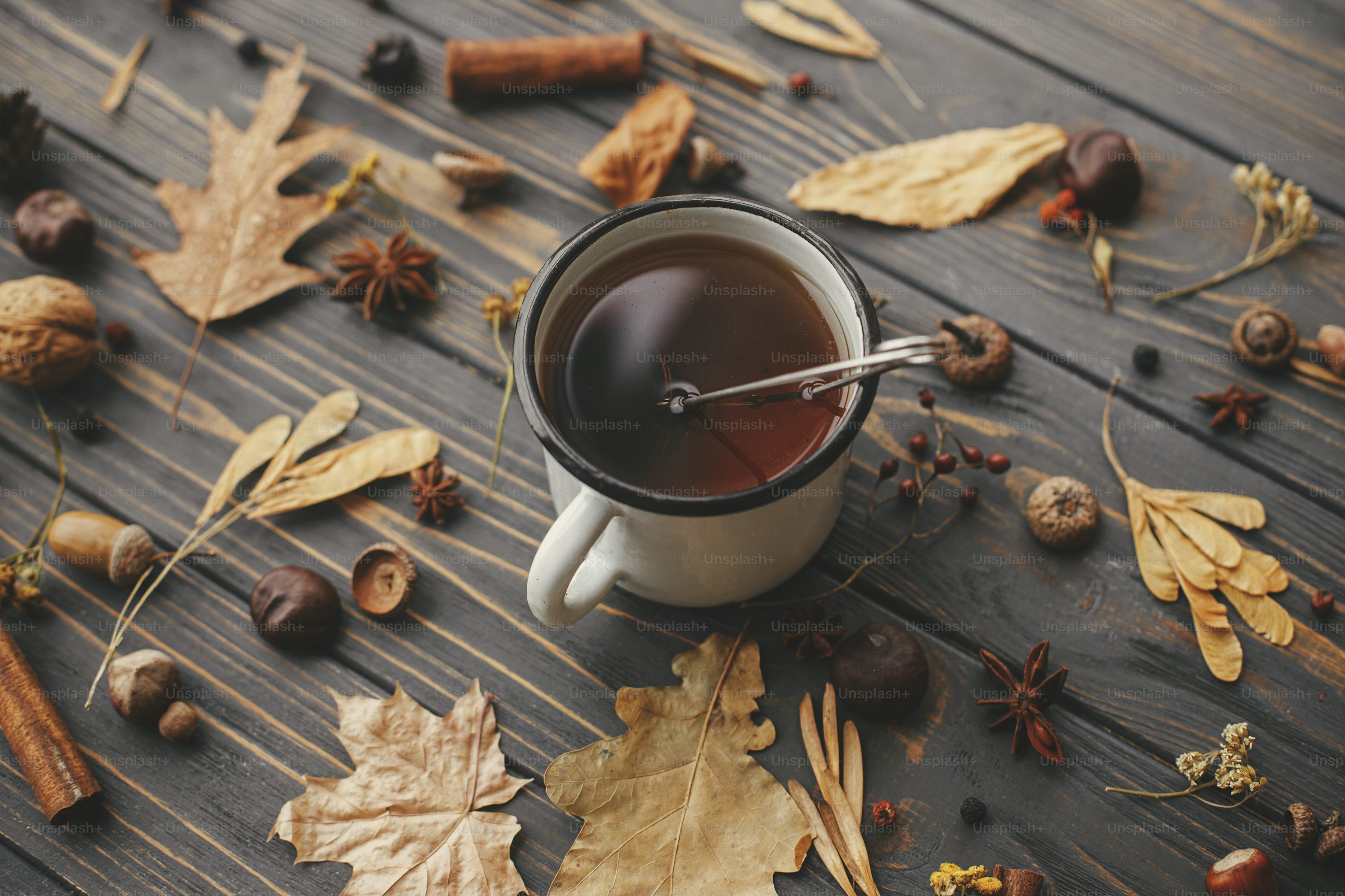 Cozy Autumn Picture. Download Free Image