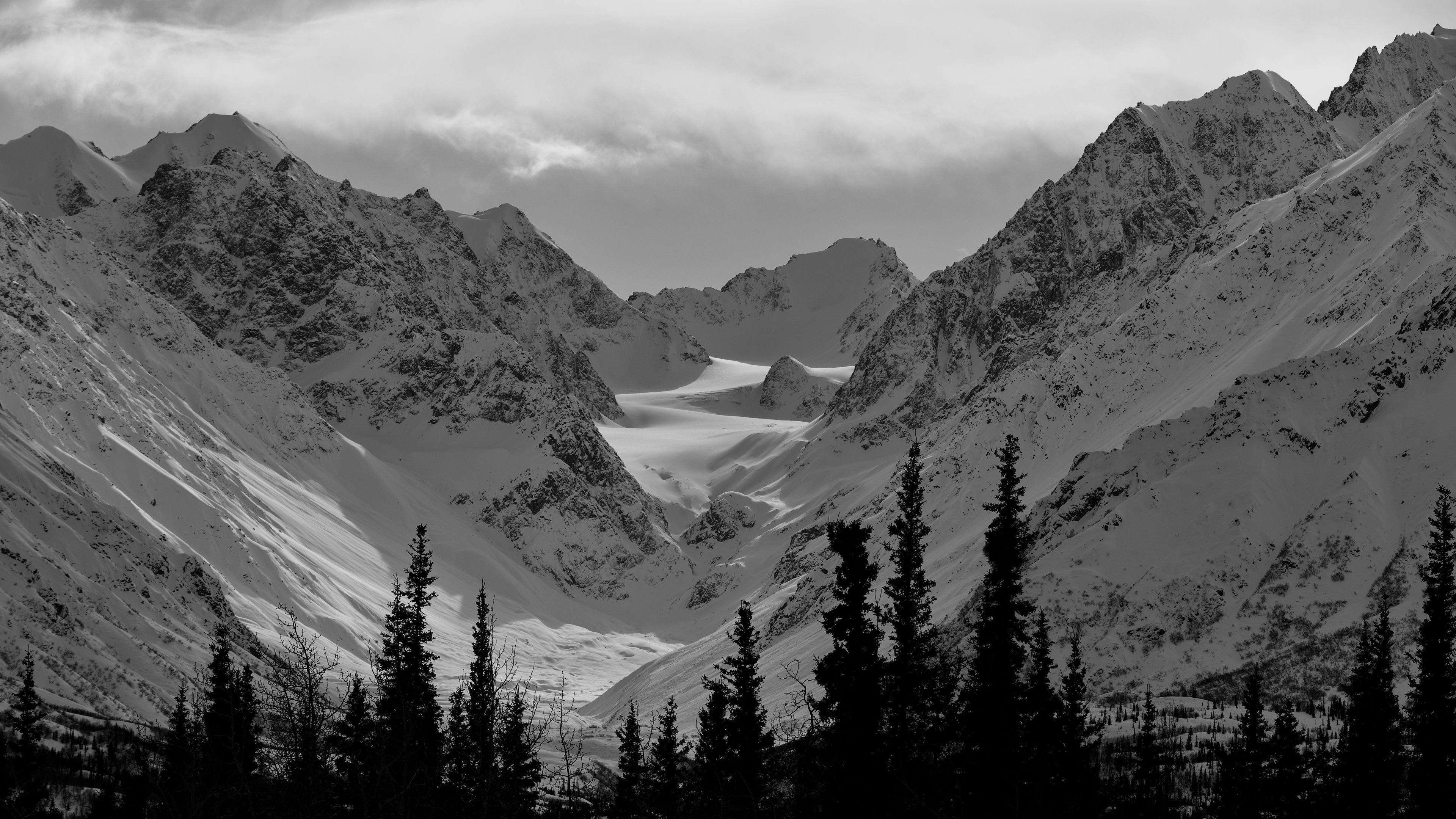 Black And White Image Of Snow Covered Mountains Trees 4K HD Nature Wallpaper