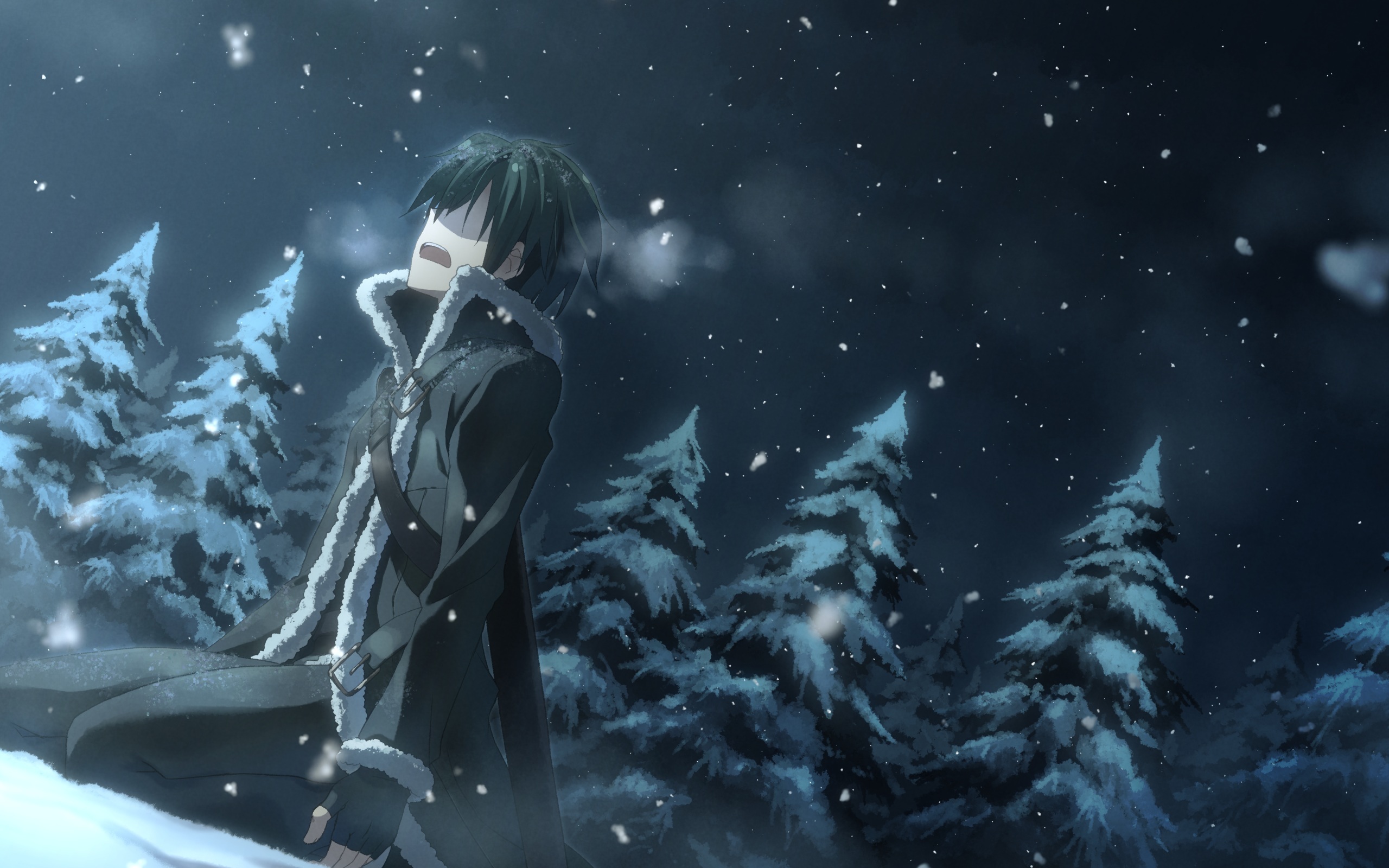 Wallpaper winter, snow, night, nature, spruce, anime, art, guy for mobile and desktop, section сёнэн, resolution 2560x1600