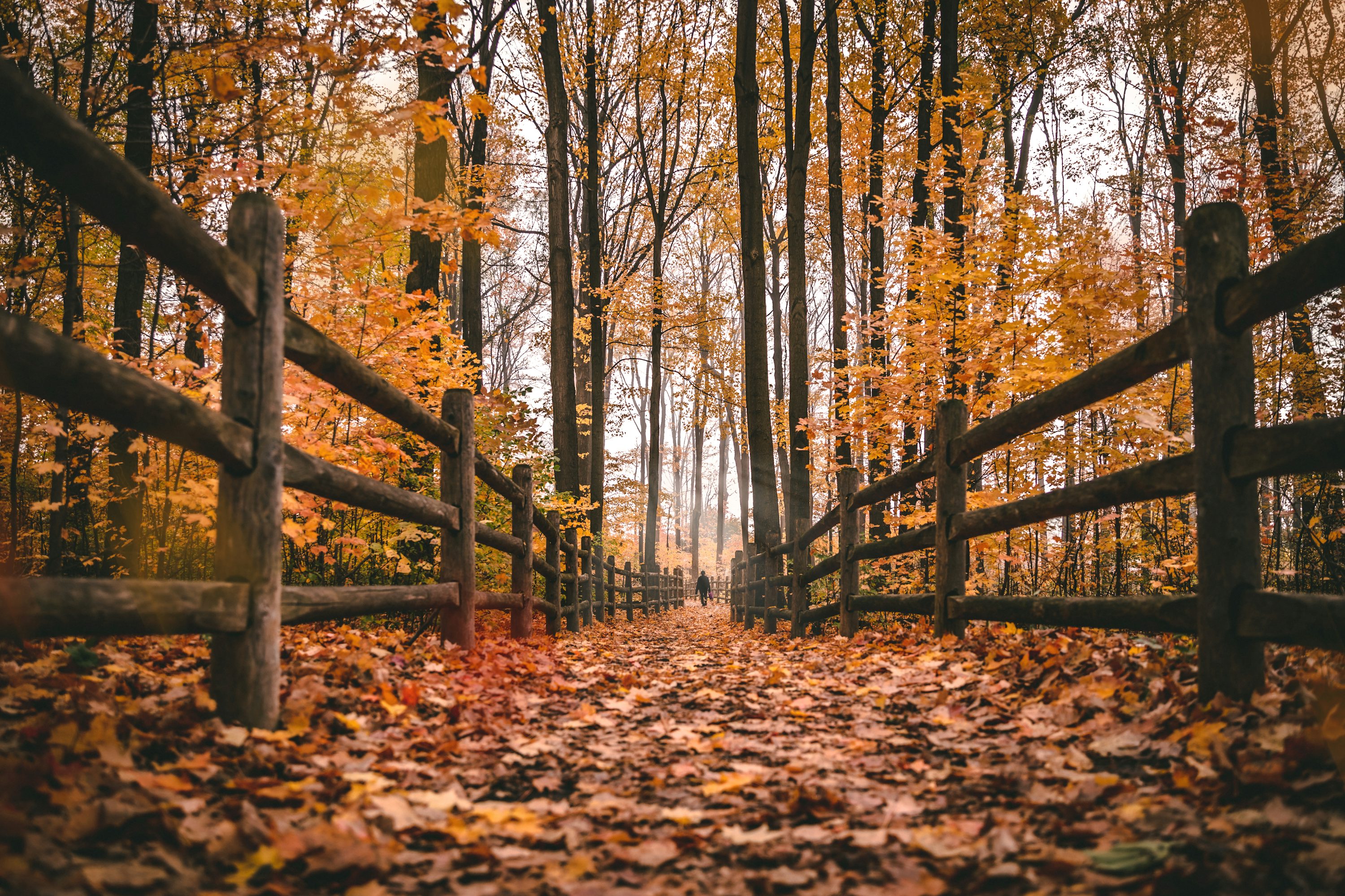 Cozy Fall Picture. Download Free Image