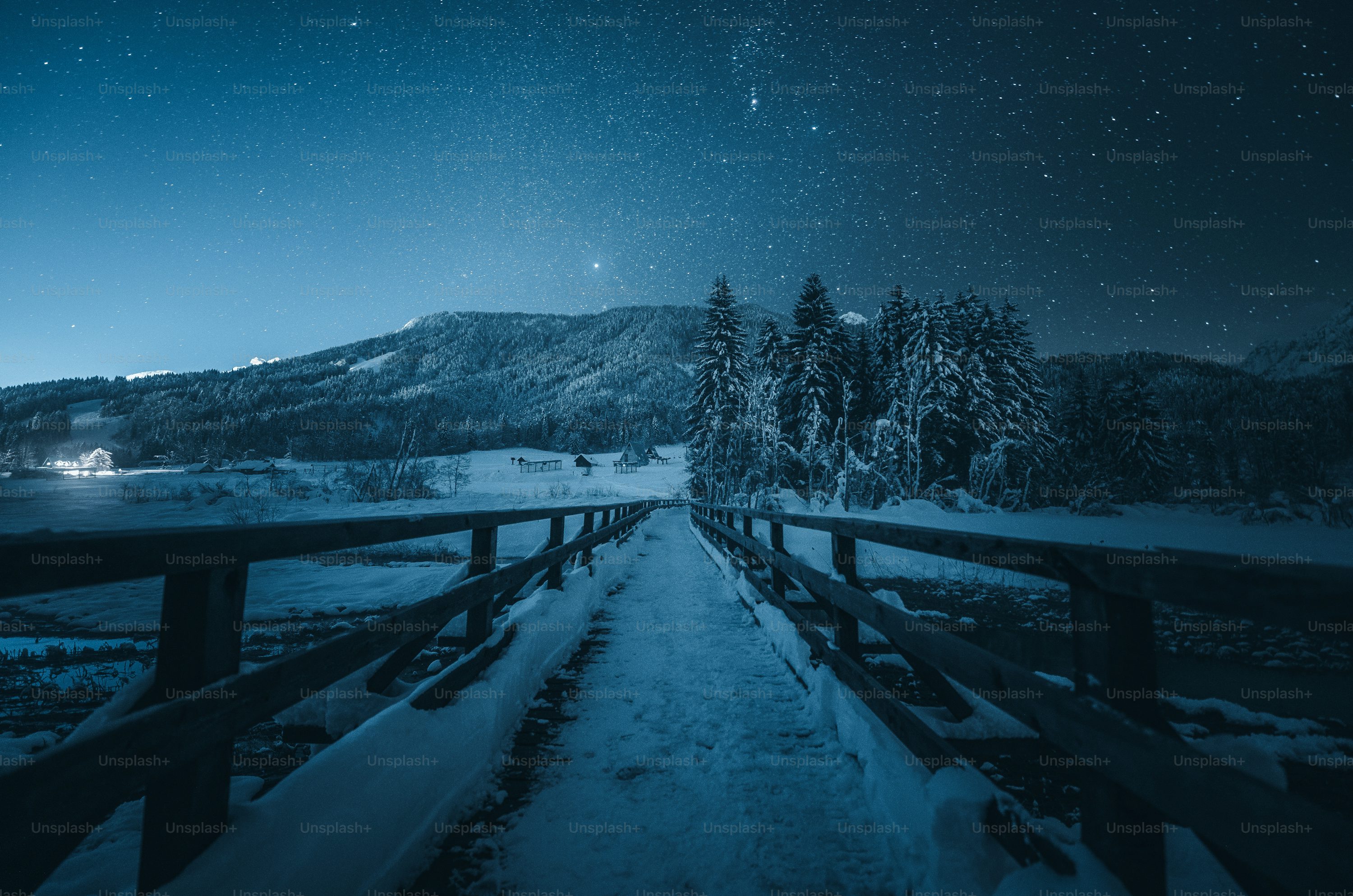 Best Snow Night Picture [HD]. Download Free Image