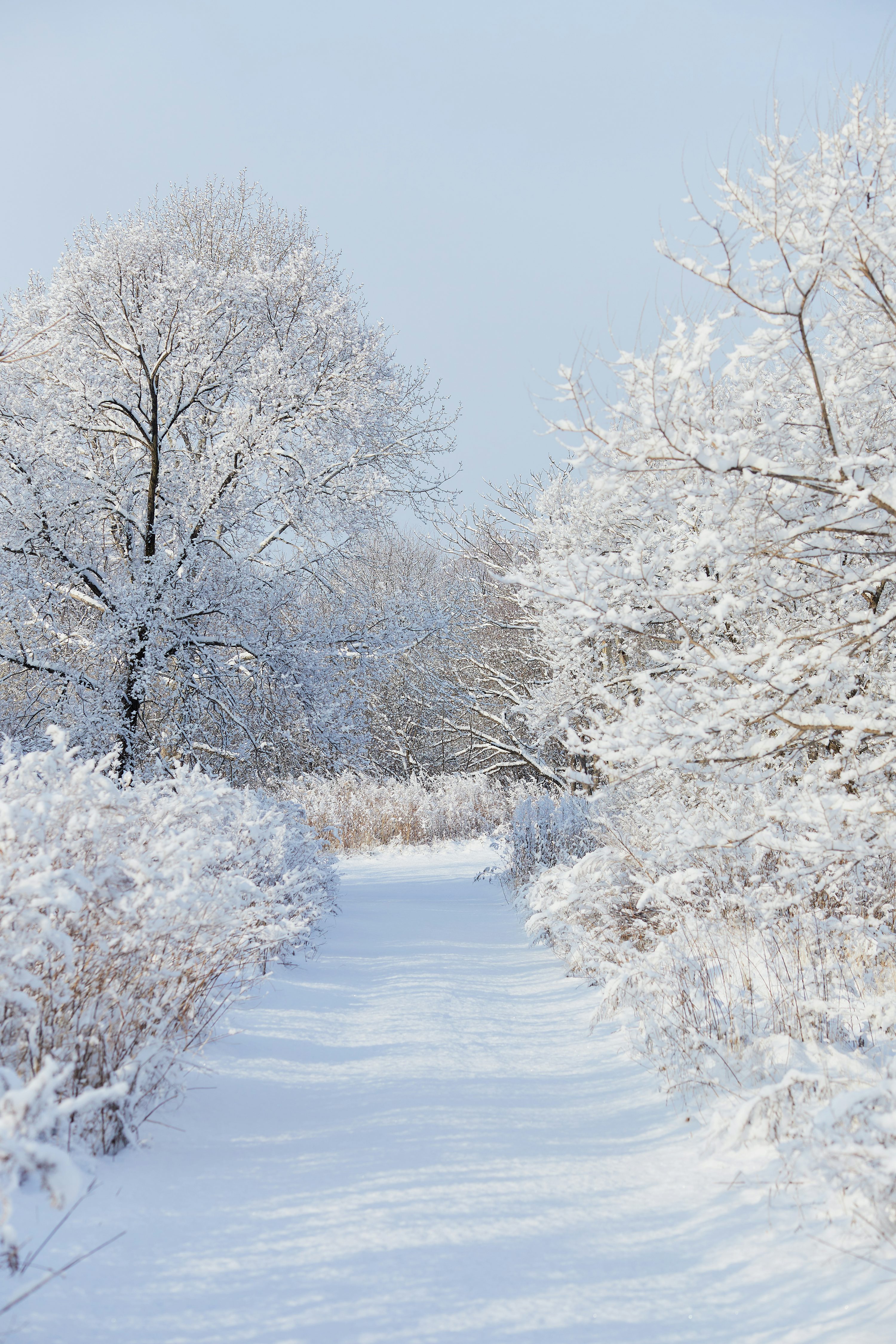 Winter Aesthetic Picture. Download Free Image