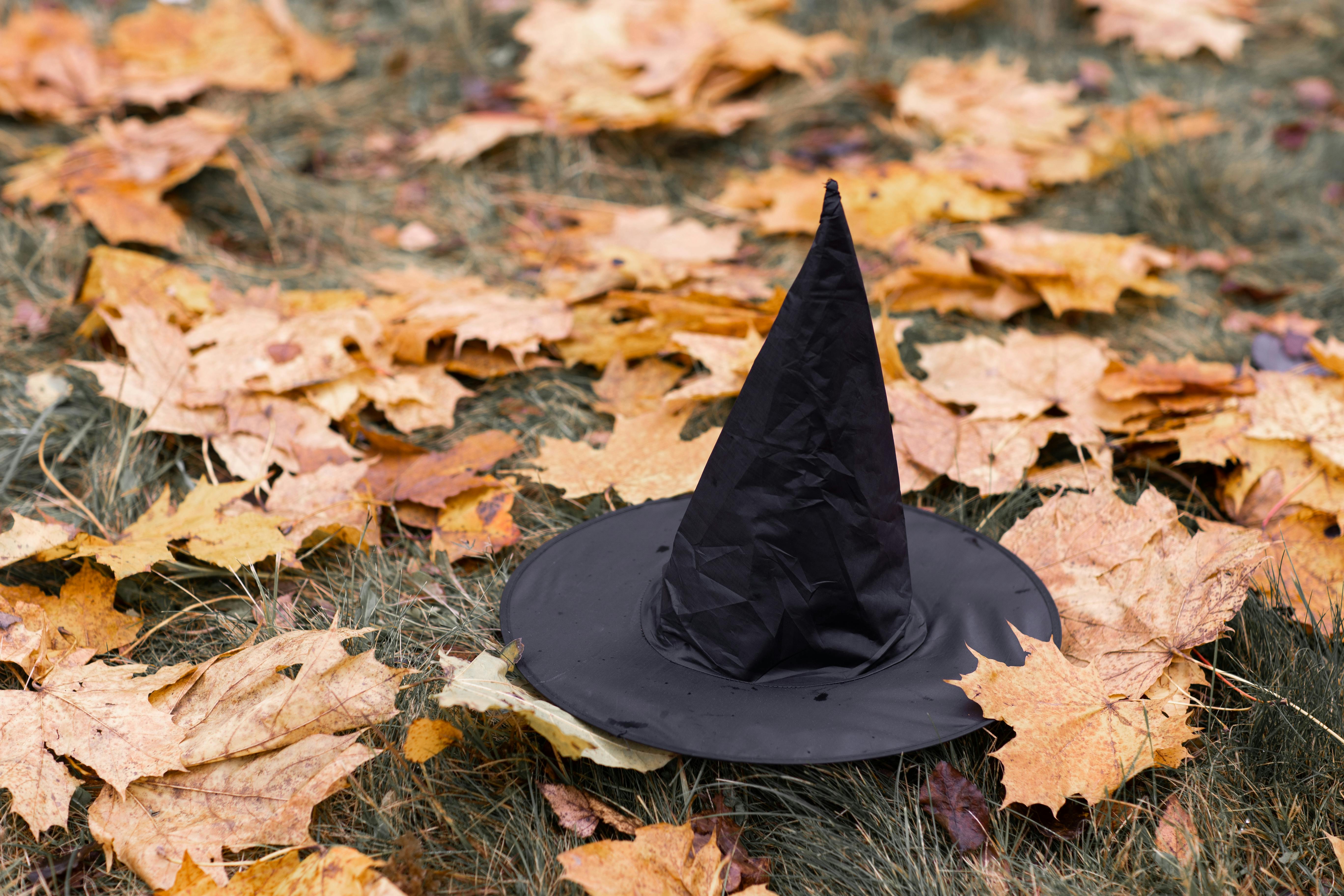 Black Witch Hat on Dried Leaves · Free