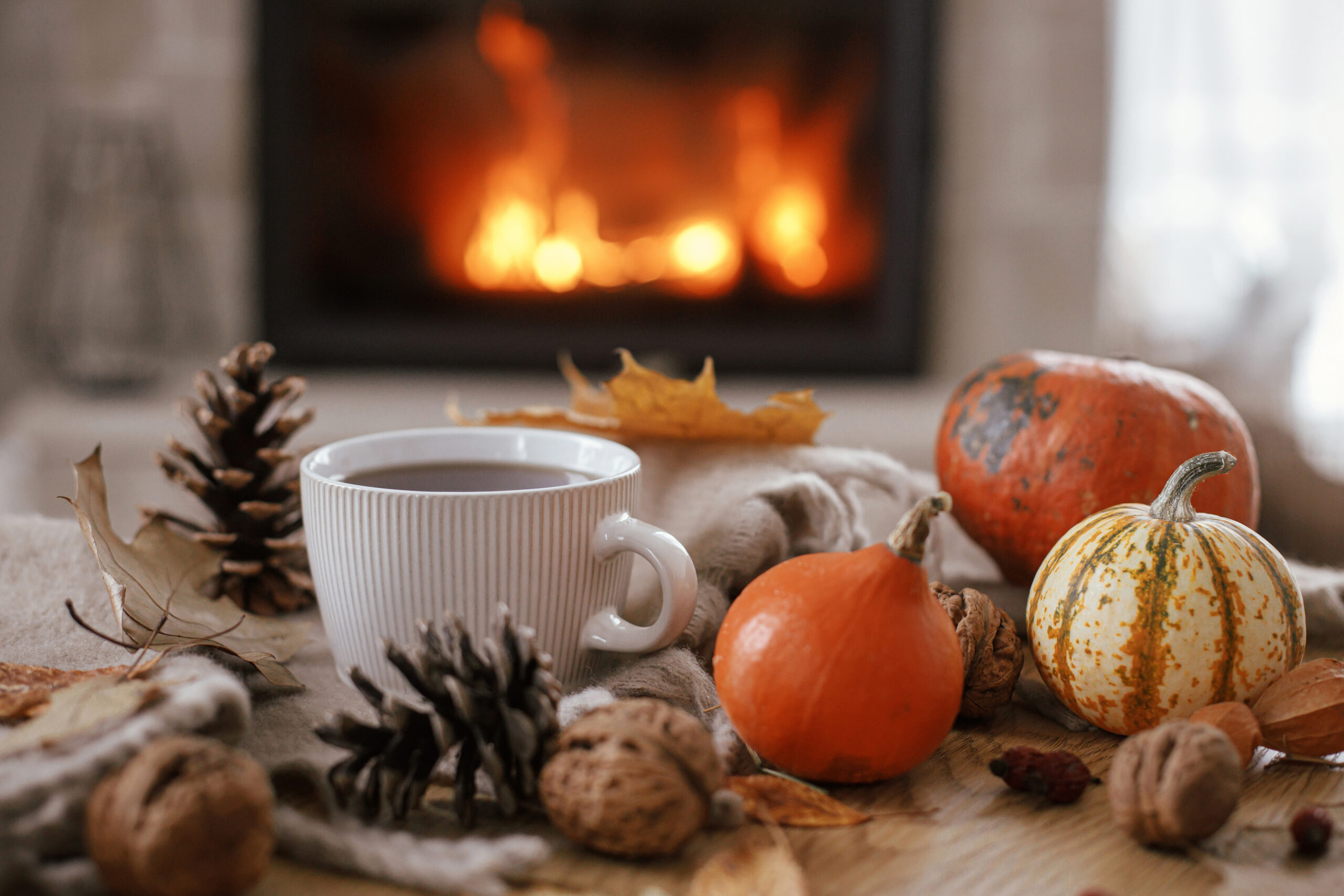 Preparing for a Cozy Thanksgiving: Why Timely Heating Repairs Matter. Airmasters Heating and Air Conditioning