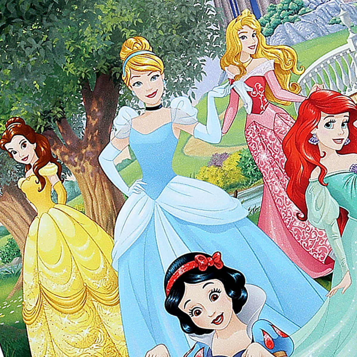 Disney Princess Canvas Wall Art, 11x14