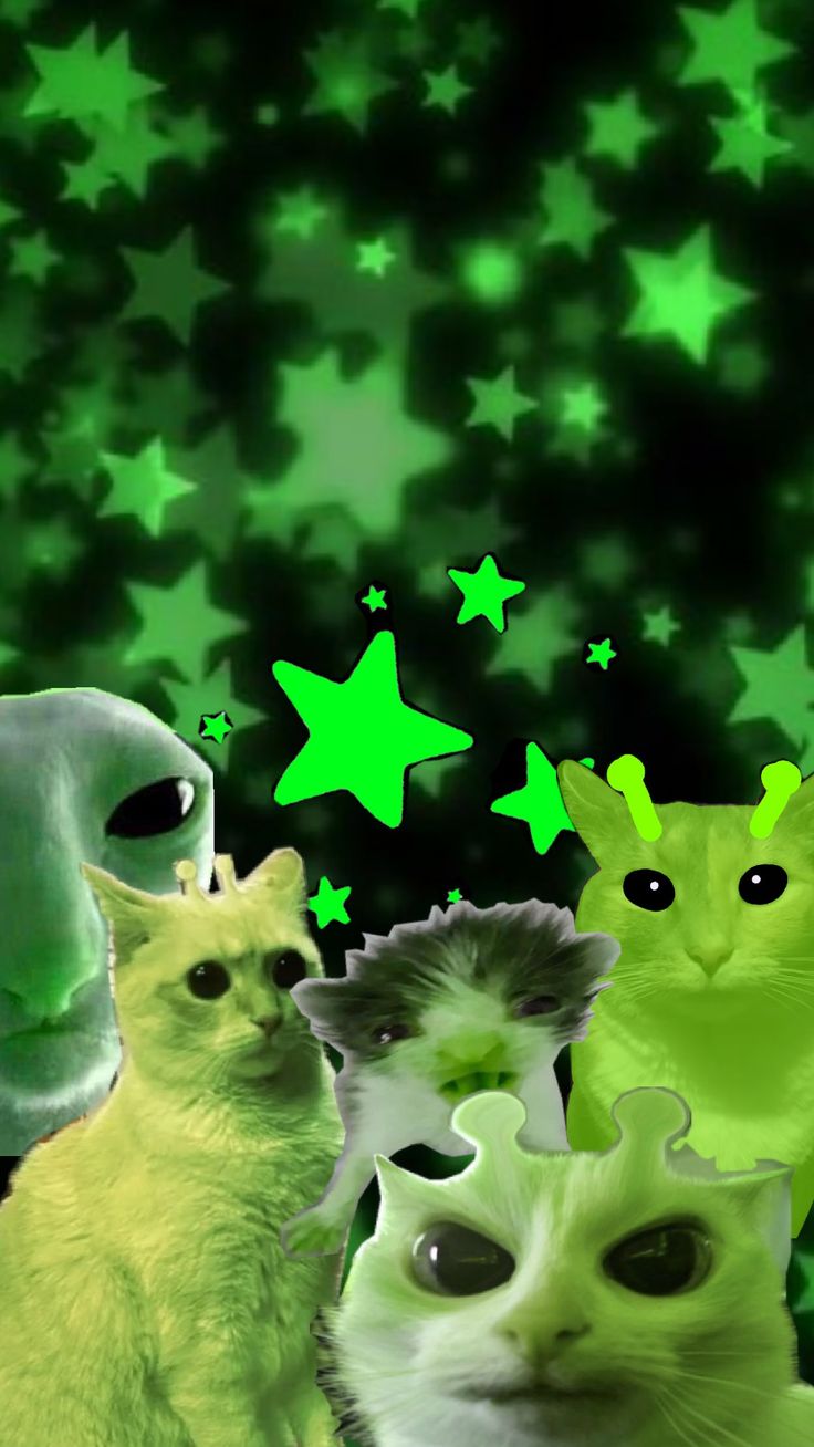 alien #aliencat #space