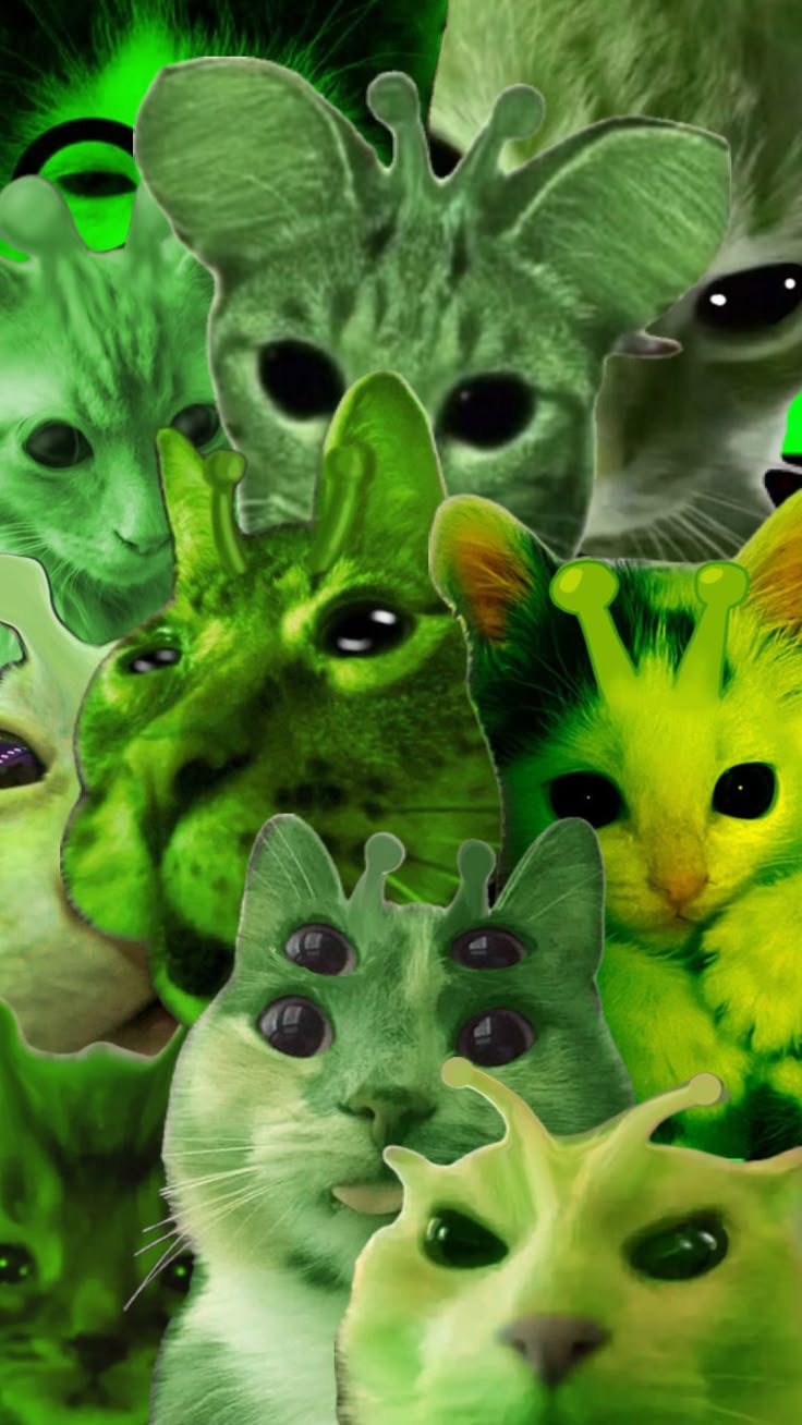 Gato Alien. iPhone background art, Cat collage, Future wallpaper
