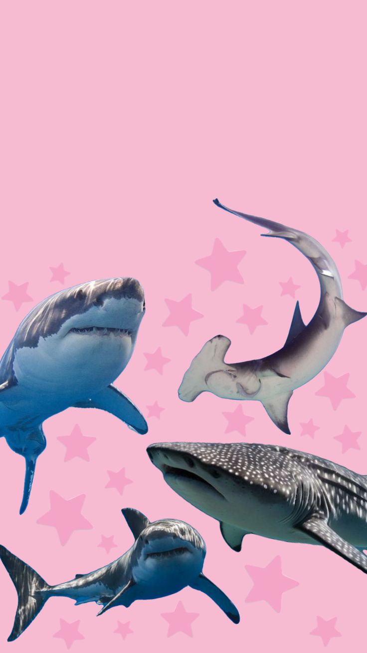 pink shark wallpaper #pink #wallpaper #shark #pinkshark #y2k