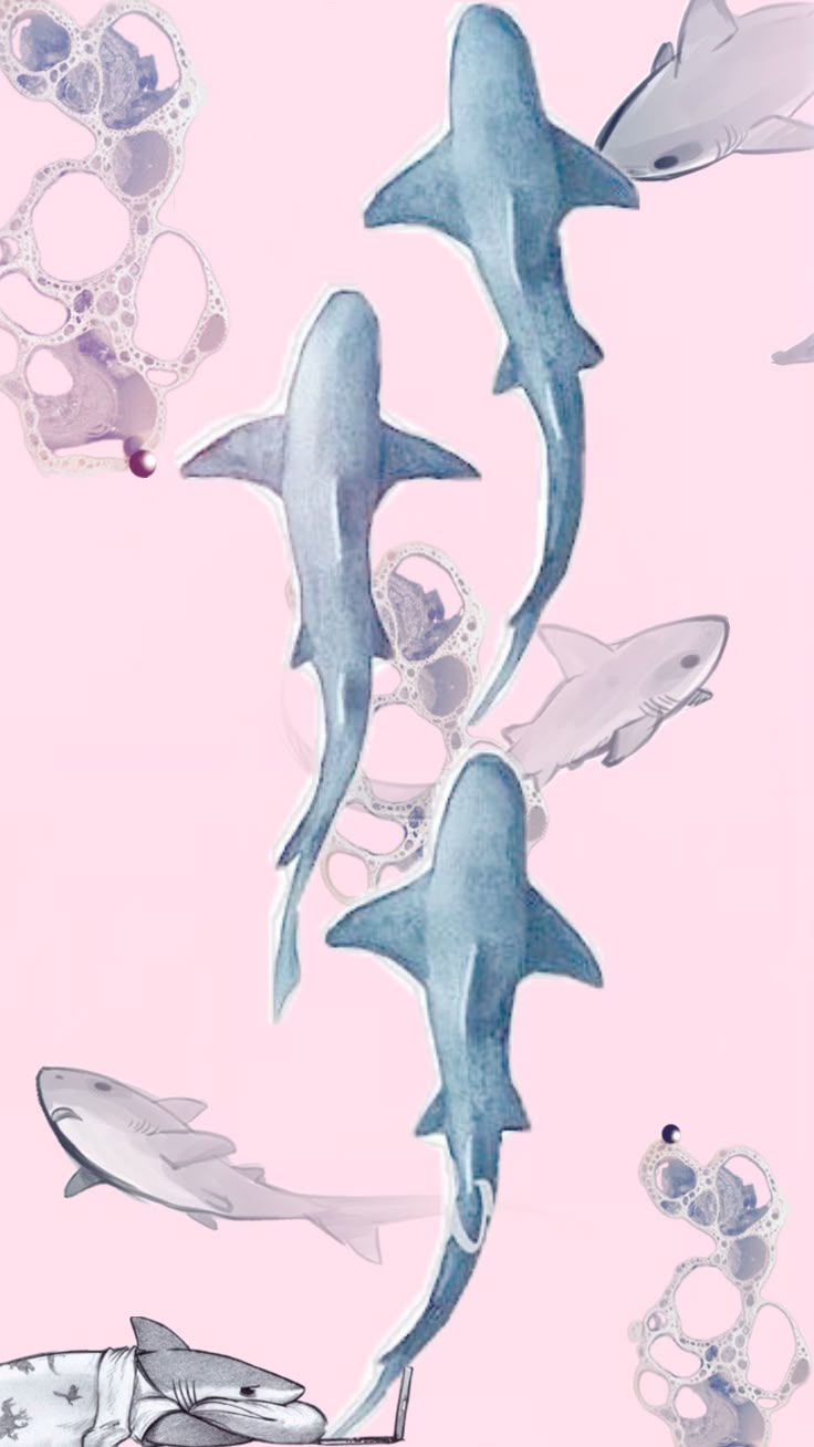 collageart #art #aesthetics #aesthetic #wallpaper#colors #pink #aquatics #oceanography #sharks #idonotowntheseimages