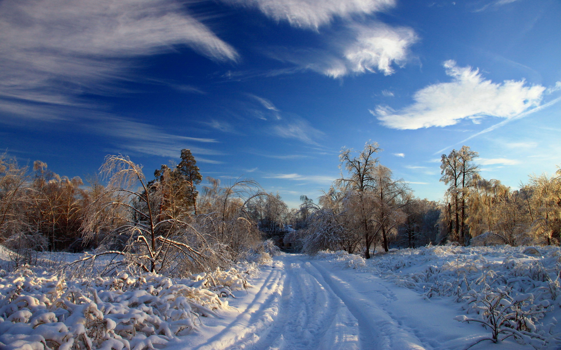 Image Winter Nature Sky Snow Clouds Seasons 2304x1440
