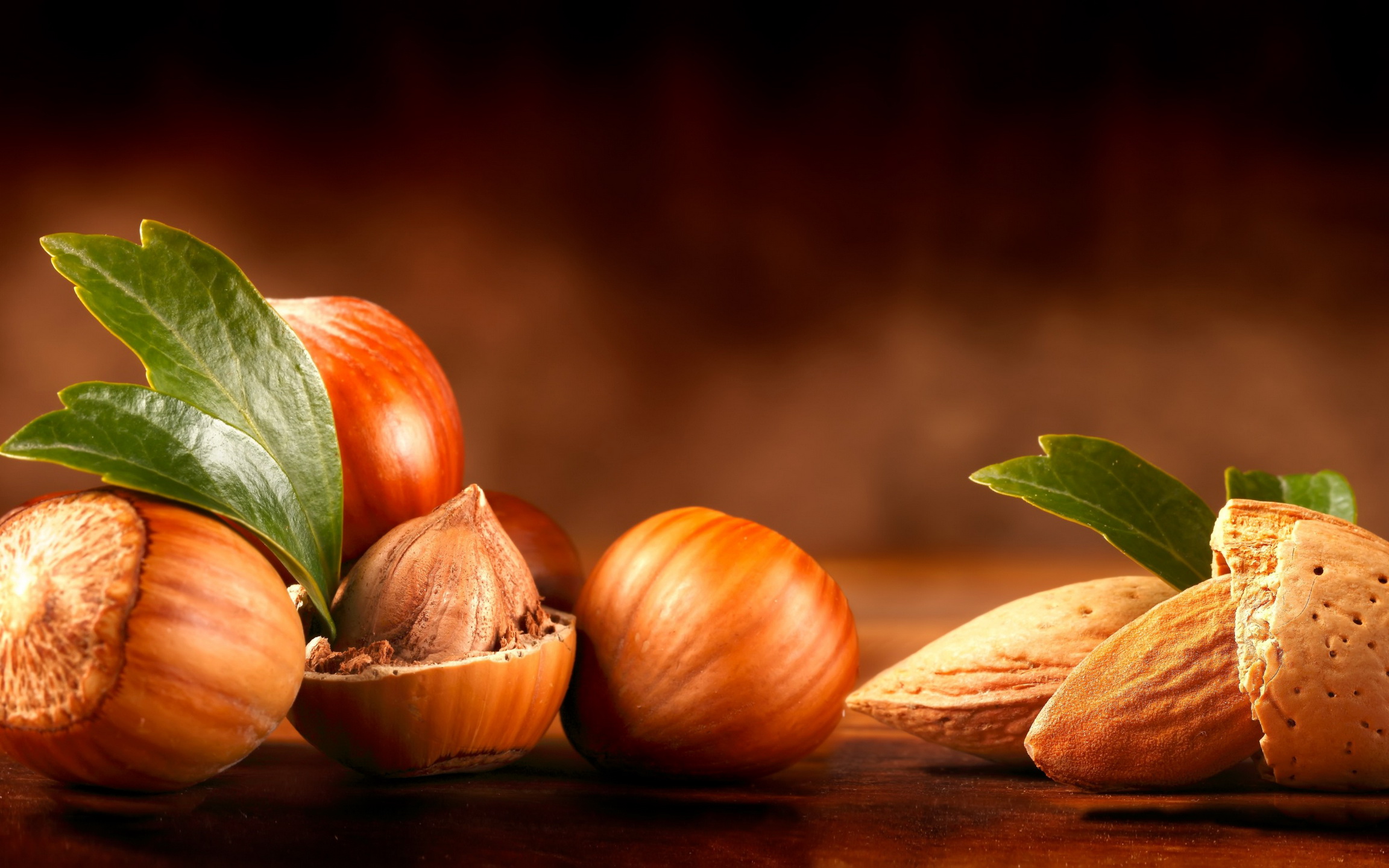 Image Food Hazelnut Nuts Closeup 2304x1440