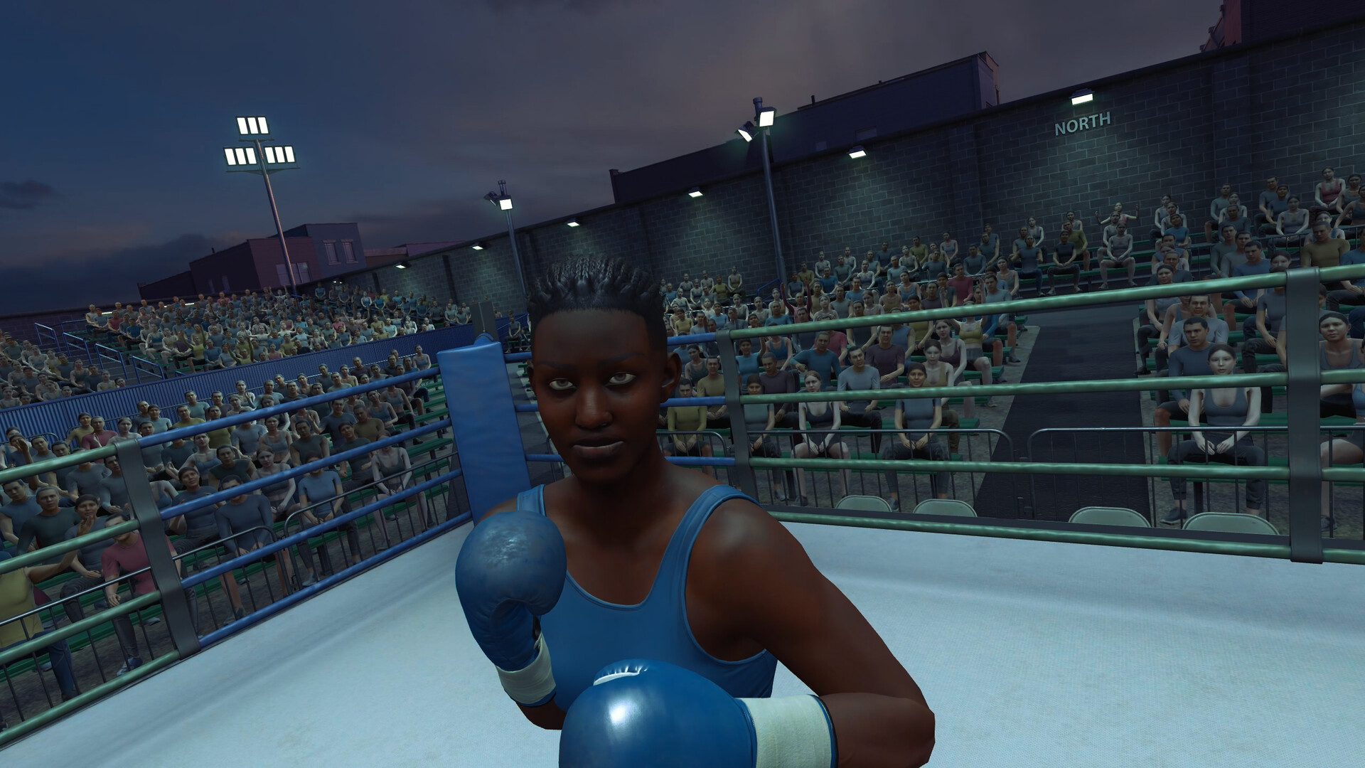 The Thrill of the Fight 2 Spectator on Steam