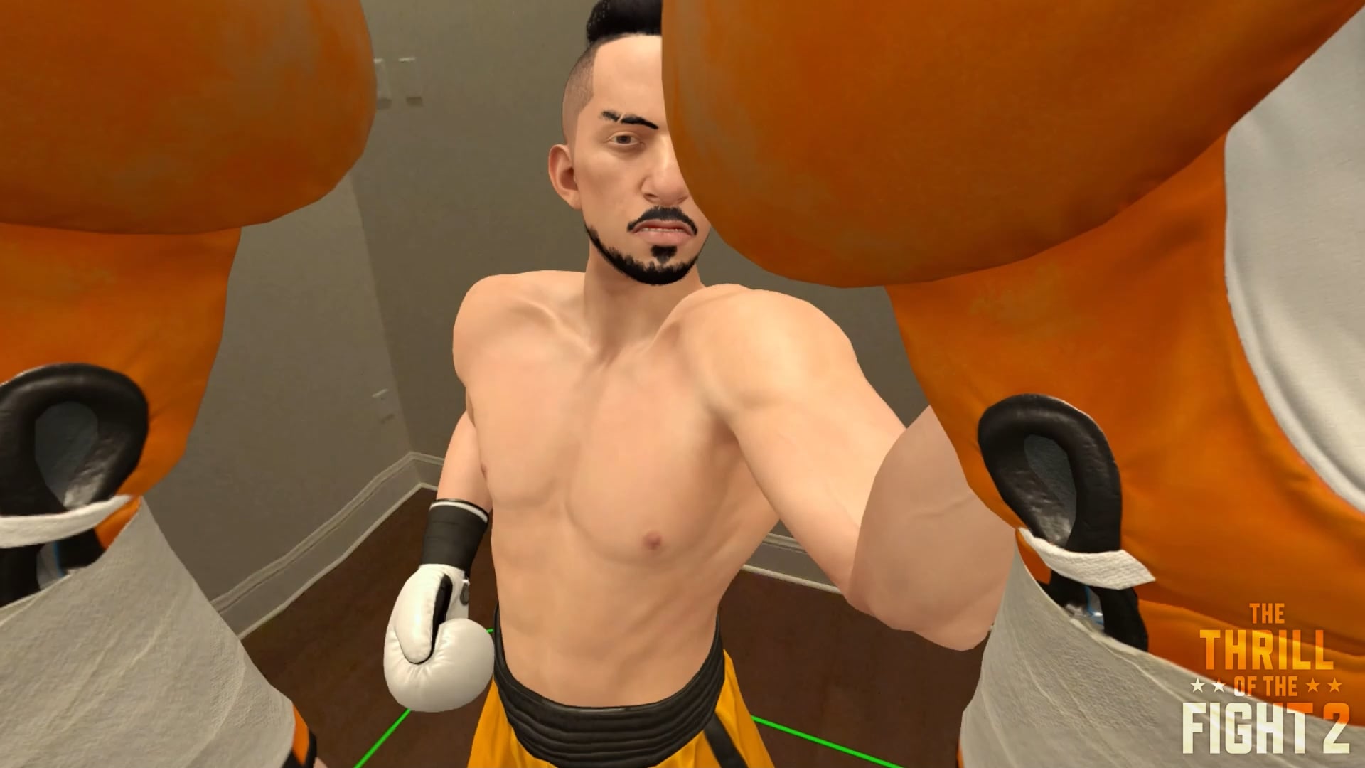 We're excited to announce that The Thrill of the Fight 2 will feature Mixed Reality support right from DAY 1!