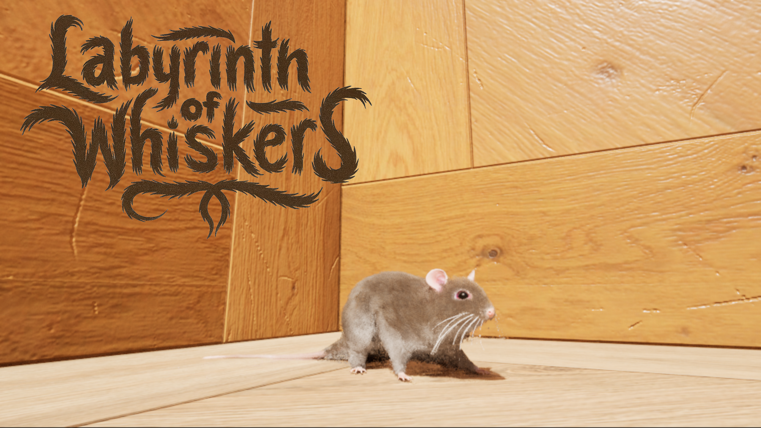 Labyrinth of Whiskers