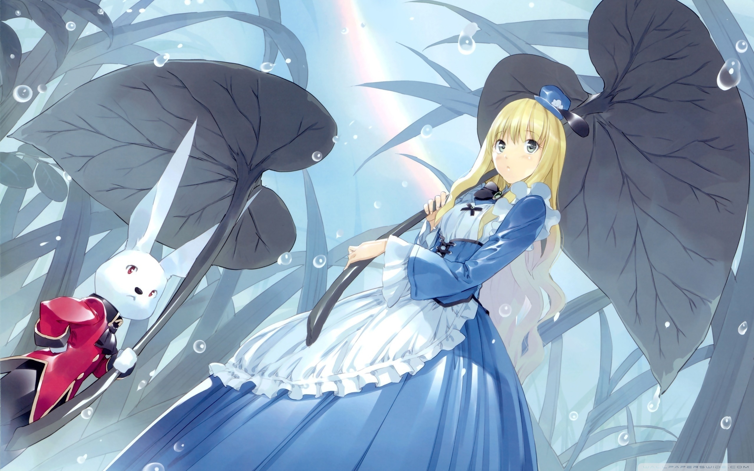 Alice In Wonderland And The White Rabbit Anime 4K UHD Wallpaper for UltraHD Desktop and TV