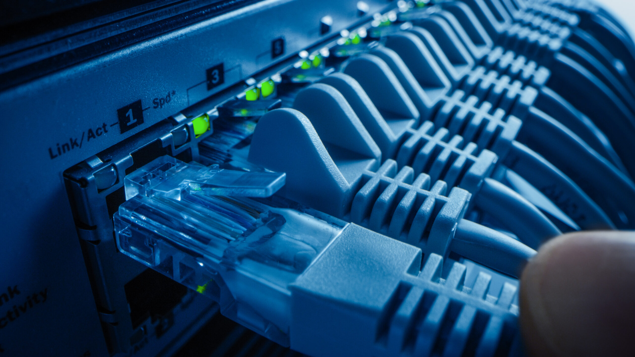 Ethernet Doesn't Defy The Recession, It Denies It