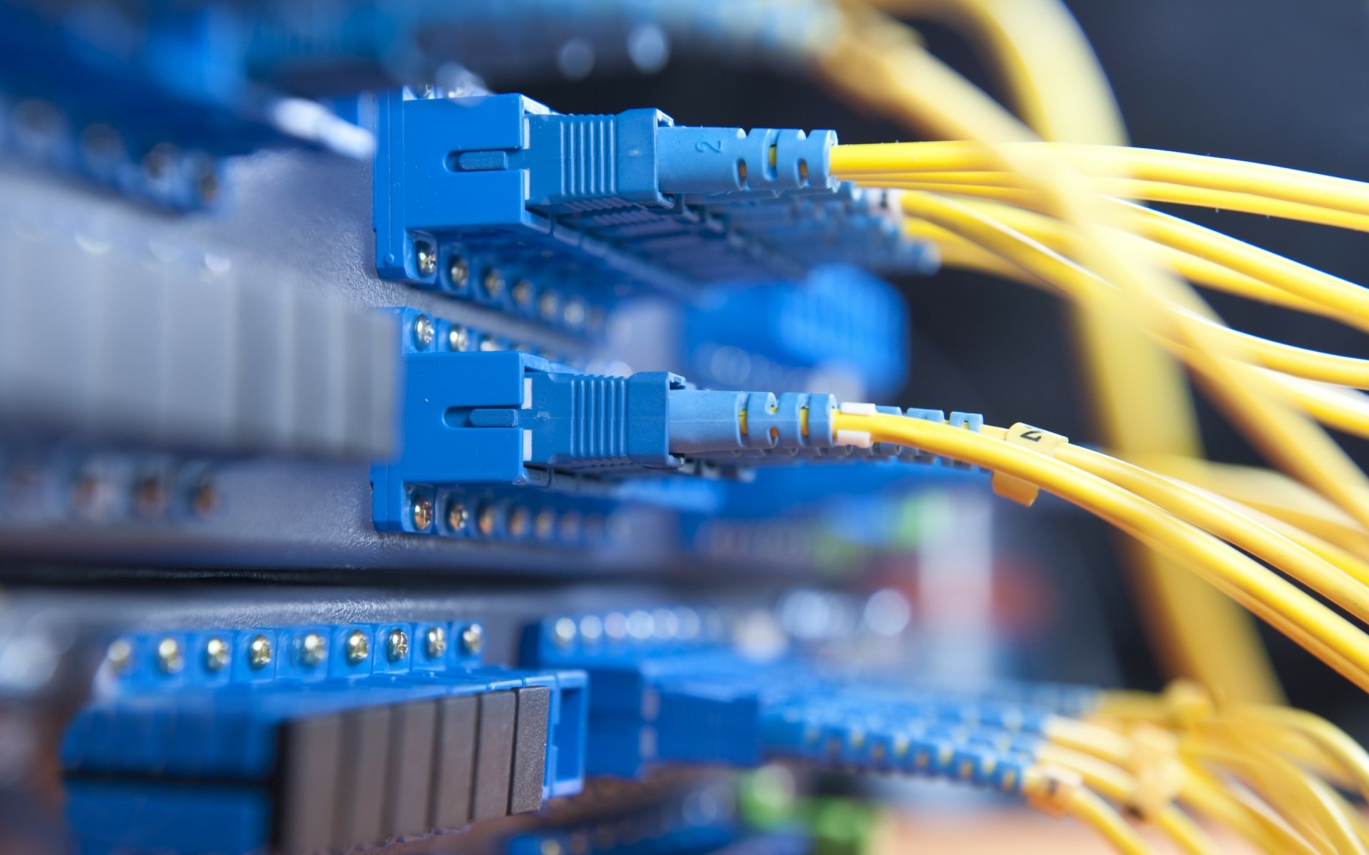 HD Server Network Cables: The Backbone of Modern Technology