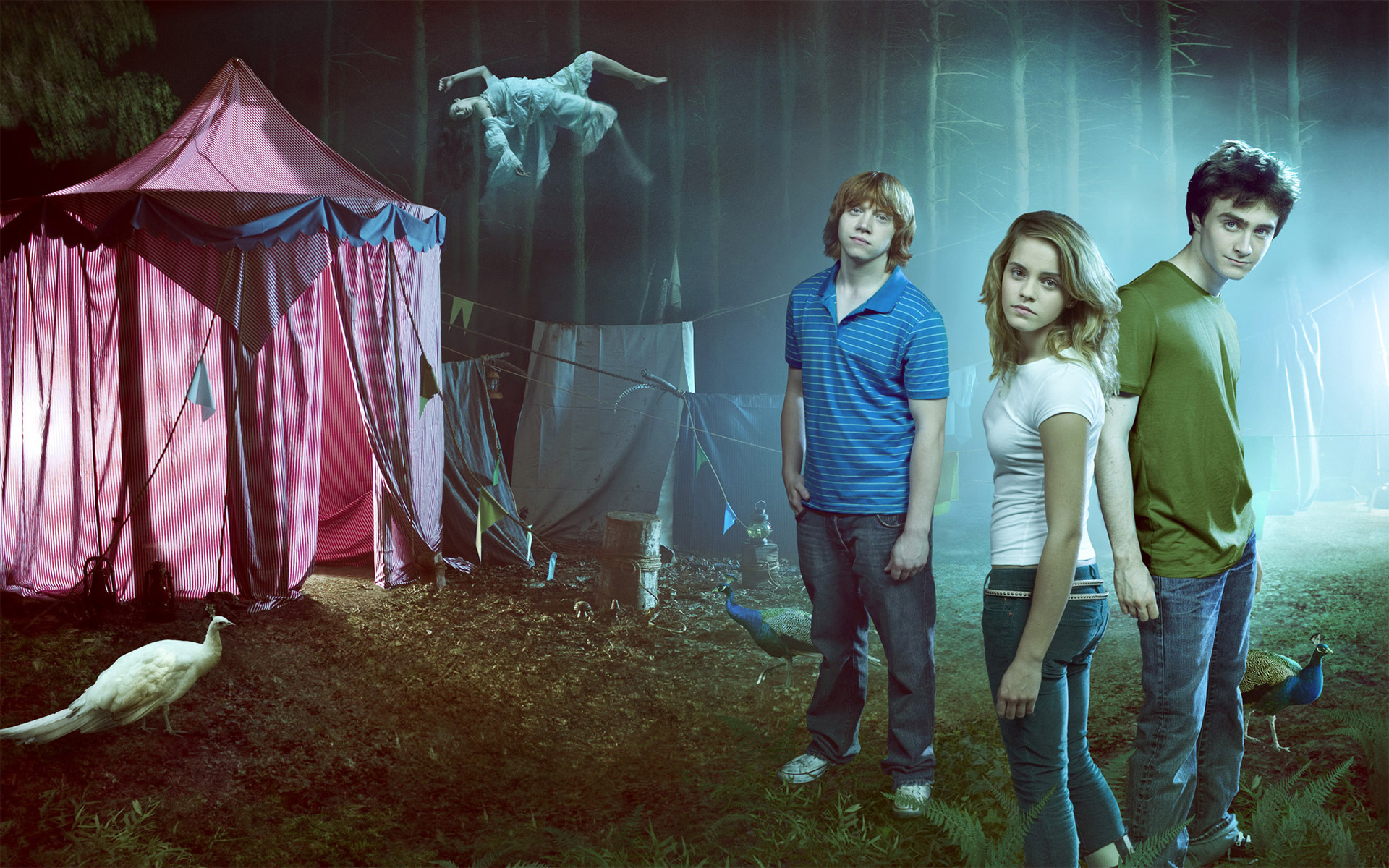 Harry Potter, Tents, Hermione Granger, Ron Weasley, Peacocks, Floating, Movies, Harry Potter And The Goblet Of Fire, Emma Watson Wallpaper HD / Desktop and Mobile Background