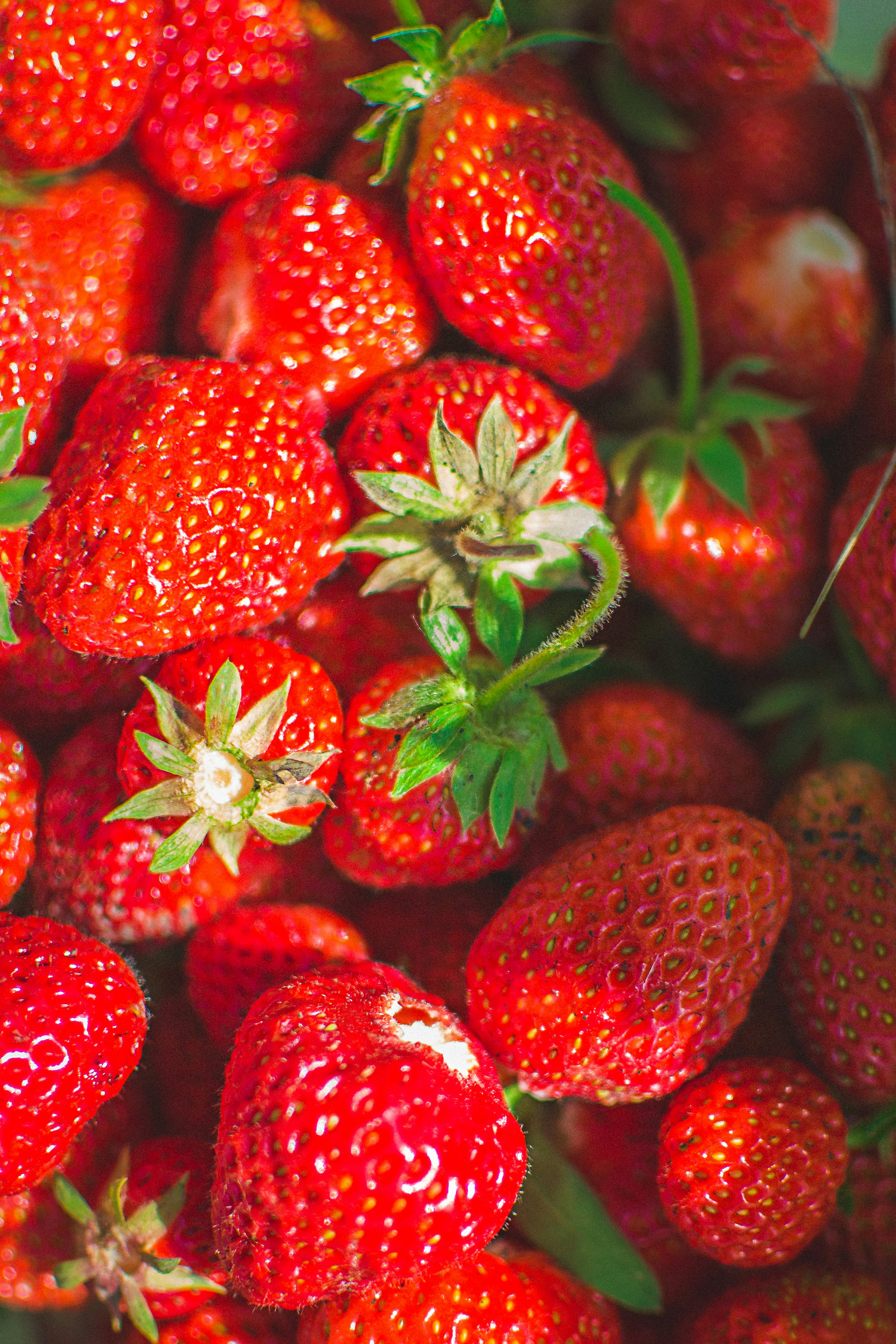 Strawberry Background Picture. Download Free Image