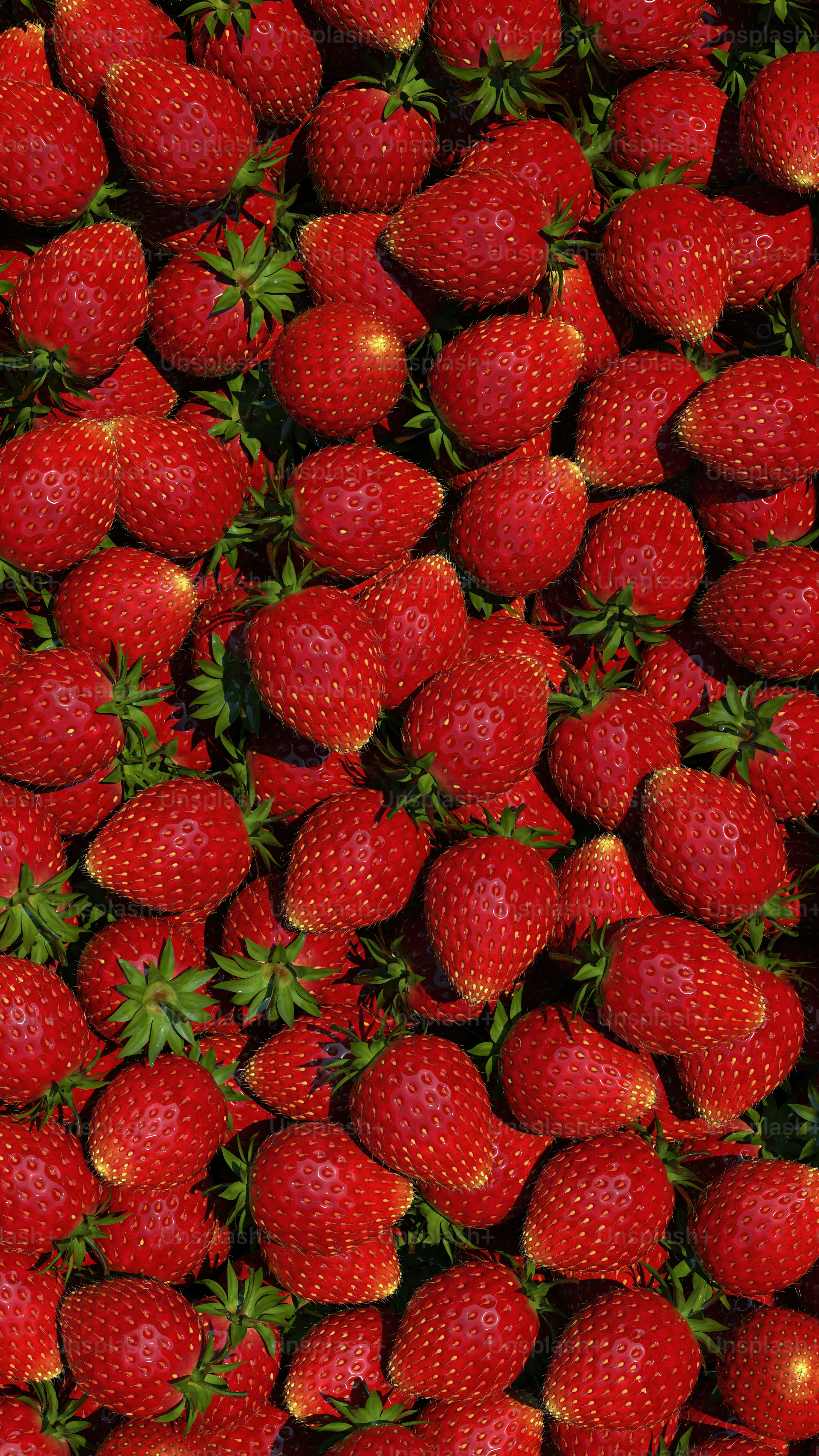 Strawberry Picture. Download Free Image