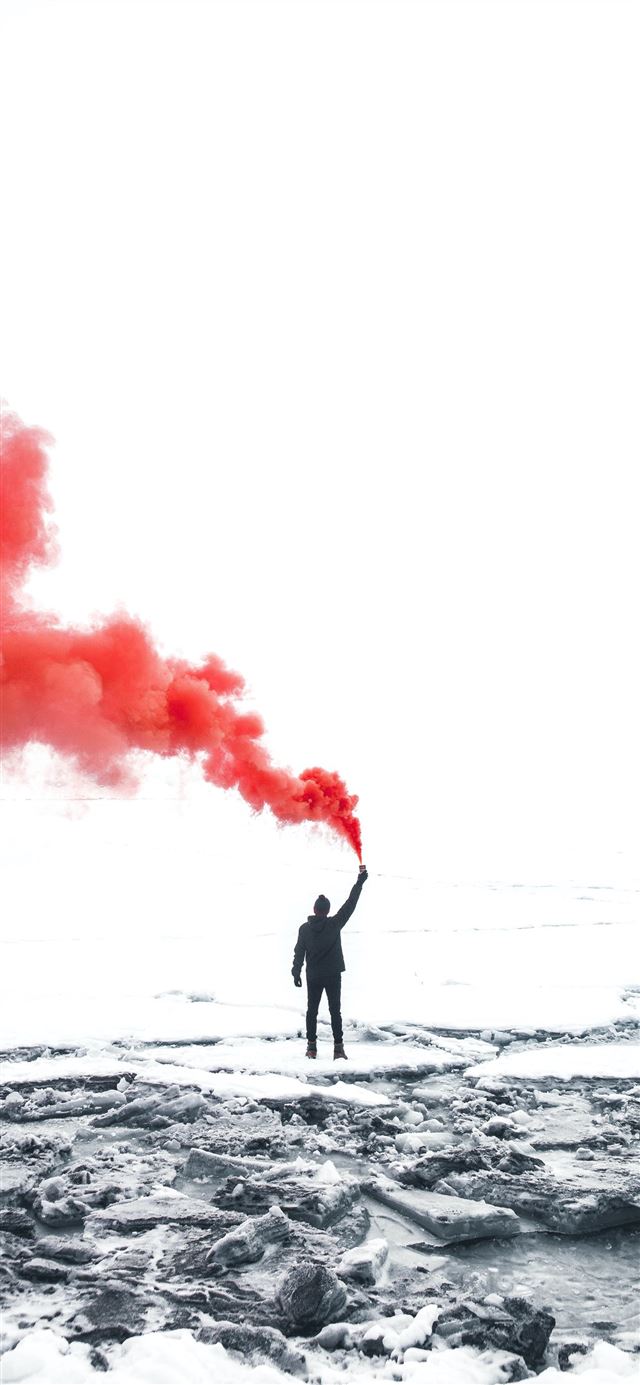 selective color photography of person holding oran. iPhone 12 Wallpaper Free Download