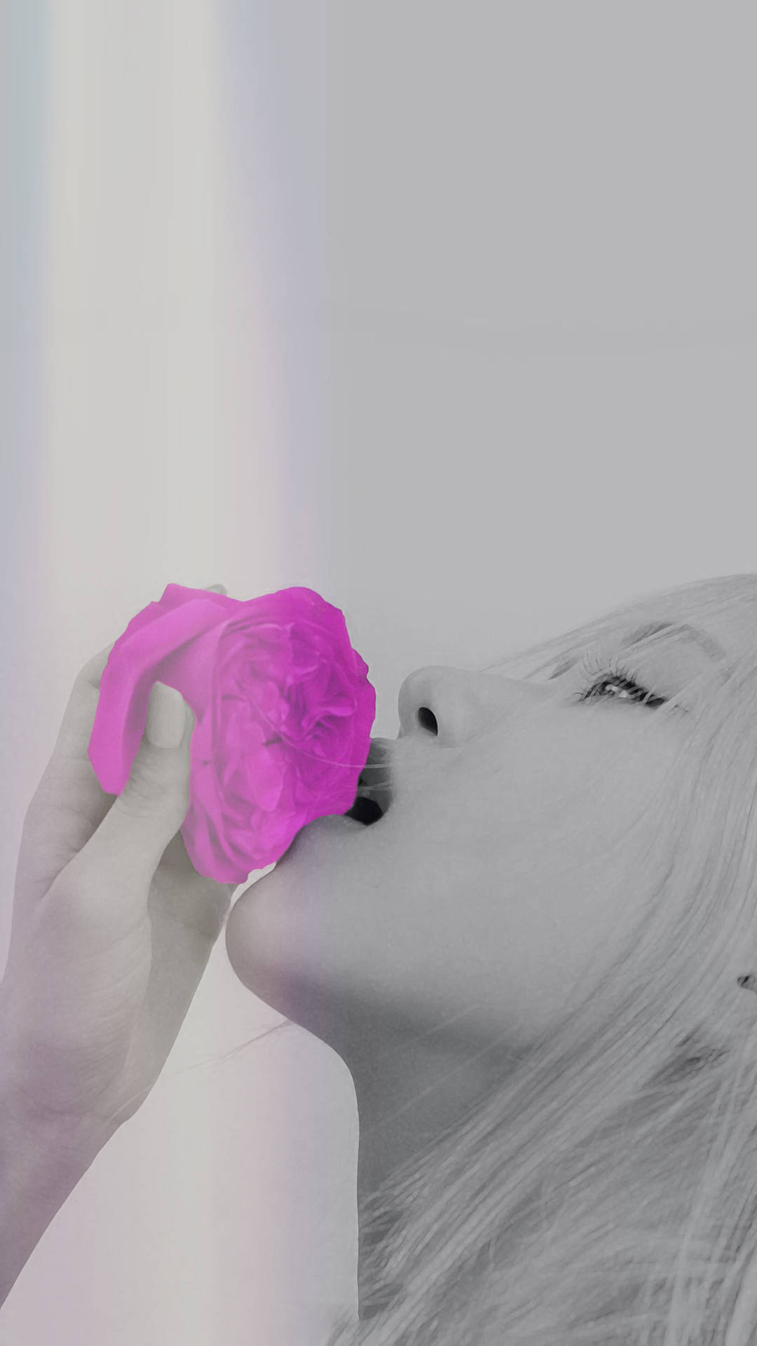 Download Rose Blackpink With Flower Selective Color Wallpaper