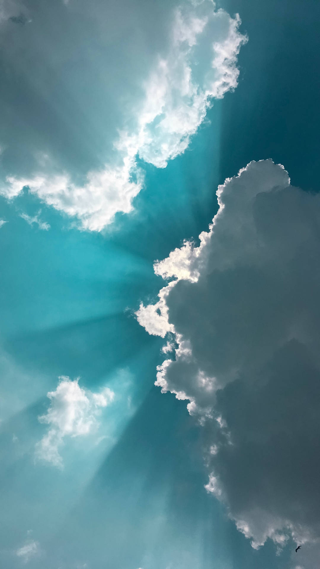 Download Soft, Turquoise Clouds in a Bright, Blue Sky Wallpaper